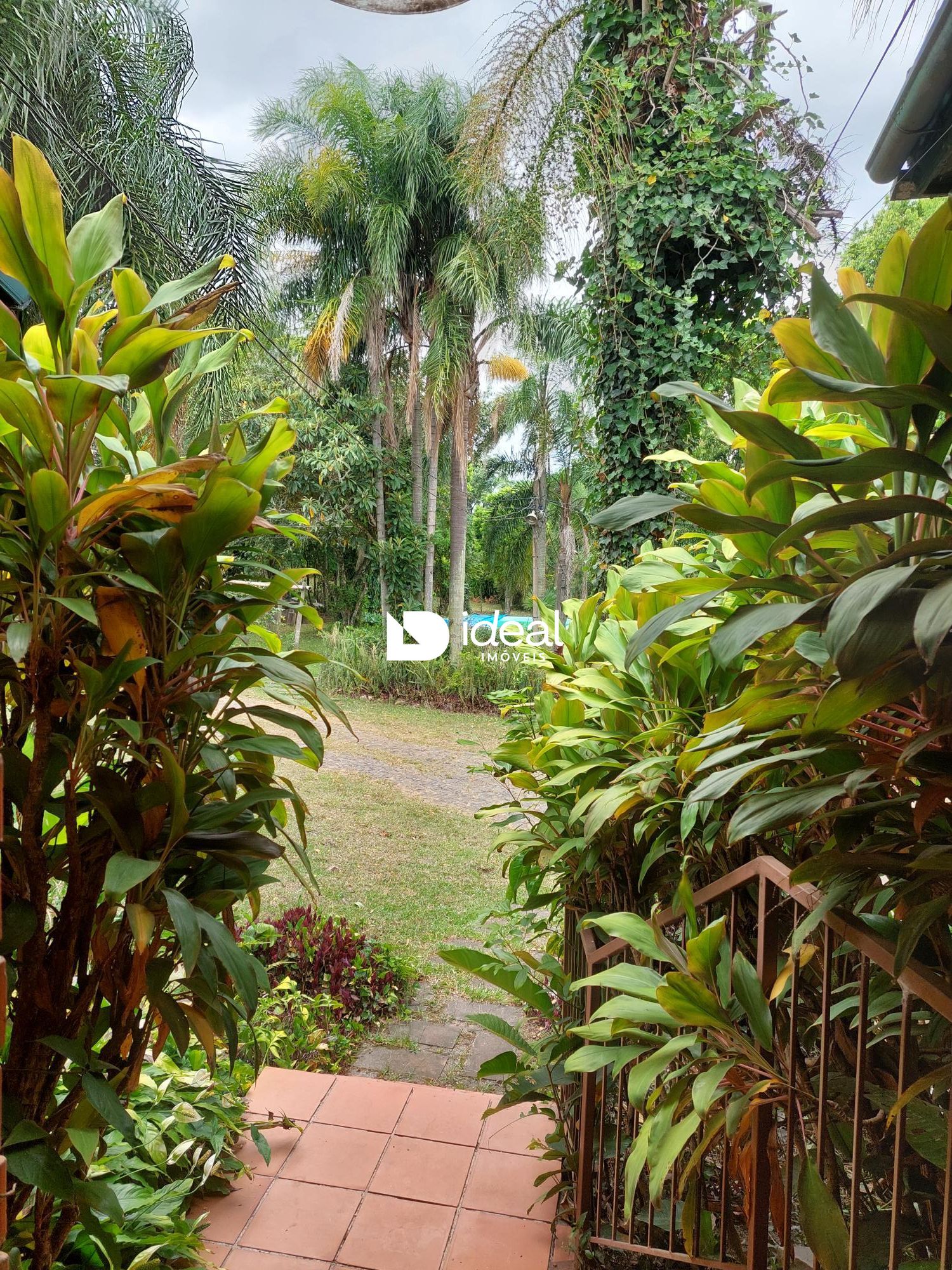 img79342310