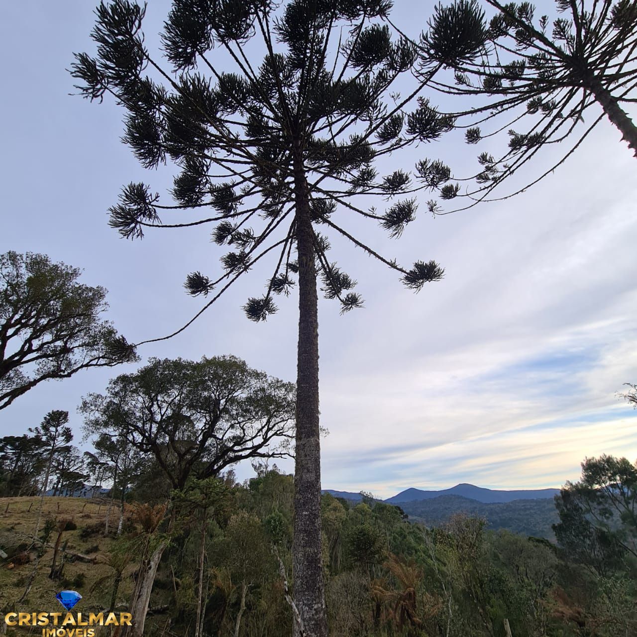 Loteamento e Condomínio à venda, 20000m² - Foto 19