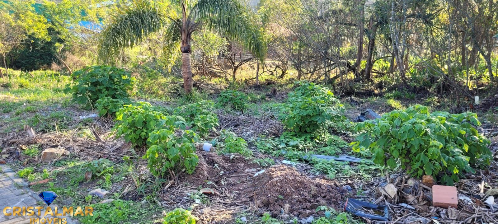 Terreno, 780 m² - Foto 6