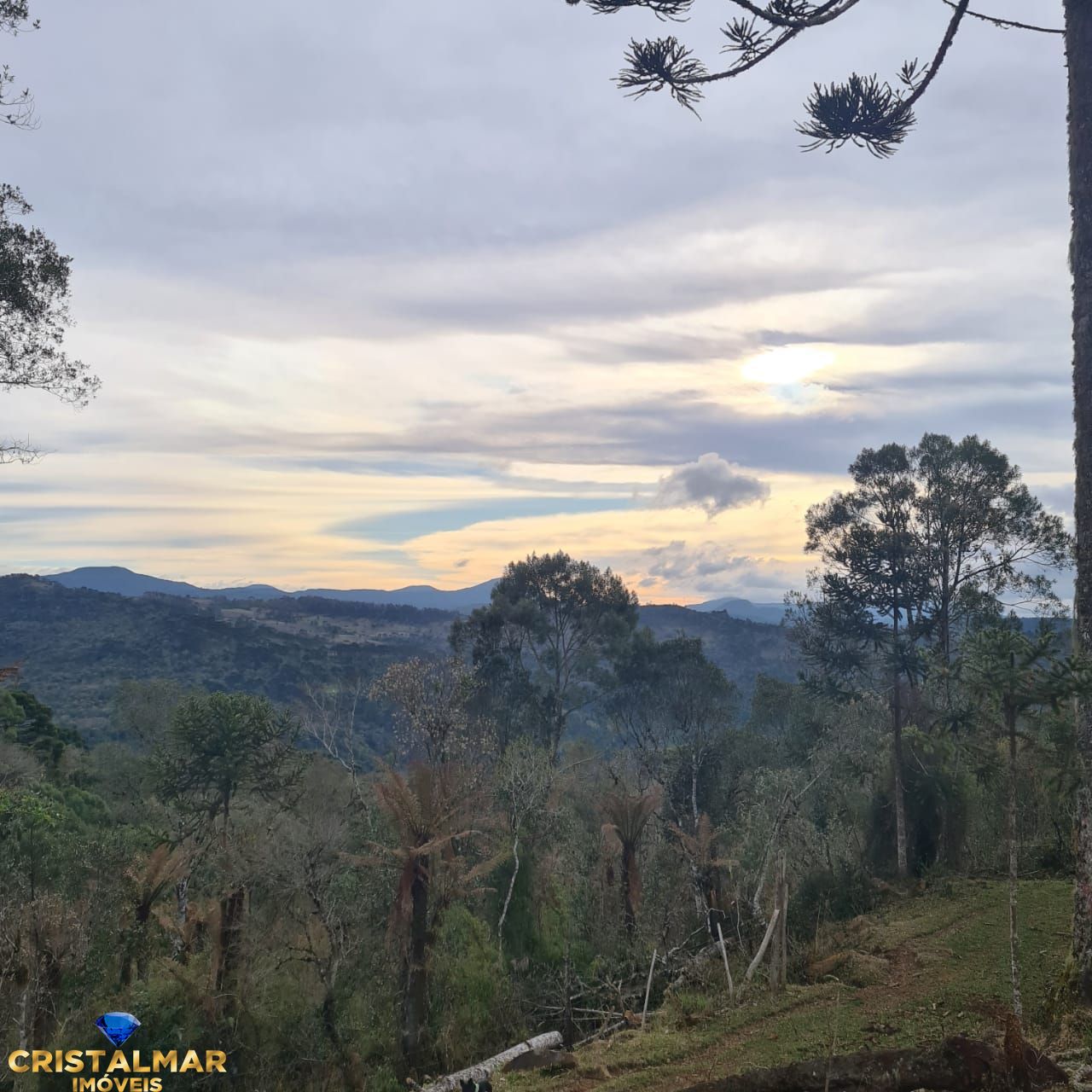 Loteamento e Condomínio à venda, 20000m² - Foto 12