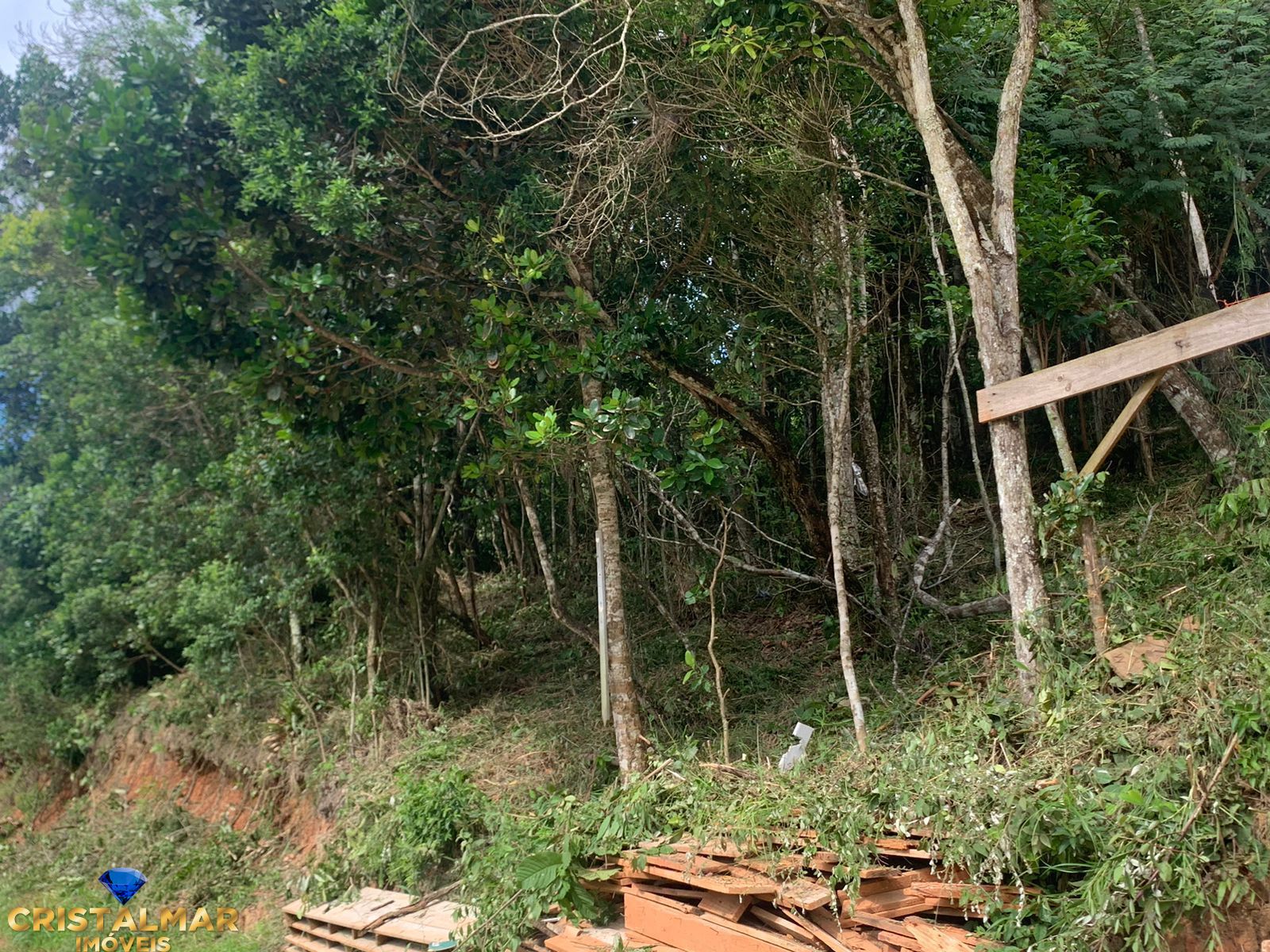 Terreno, 279 m² - Foto 2