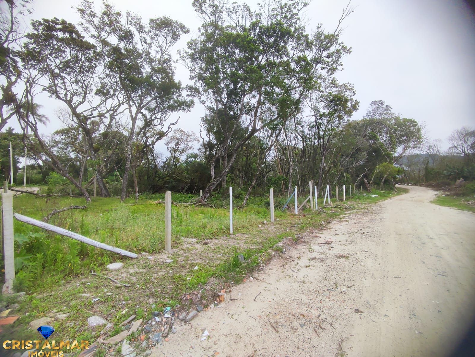 Terreno, 650 m² - Foto 5