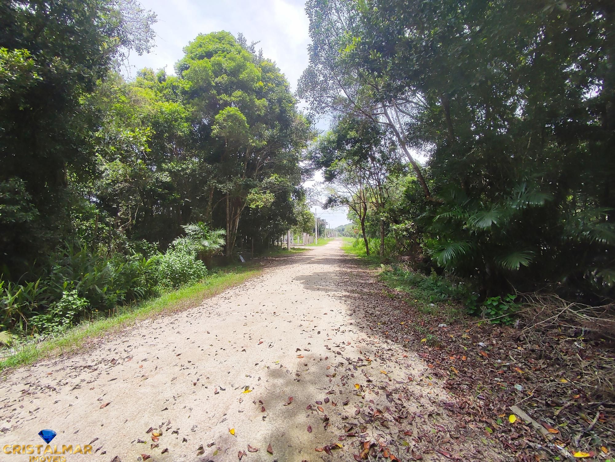 Terreno, 325 m² - Foto 7