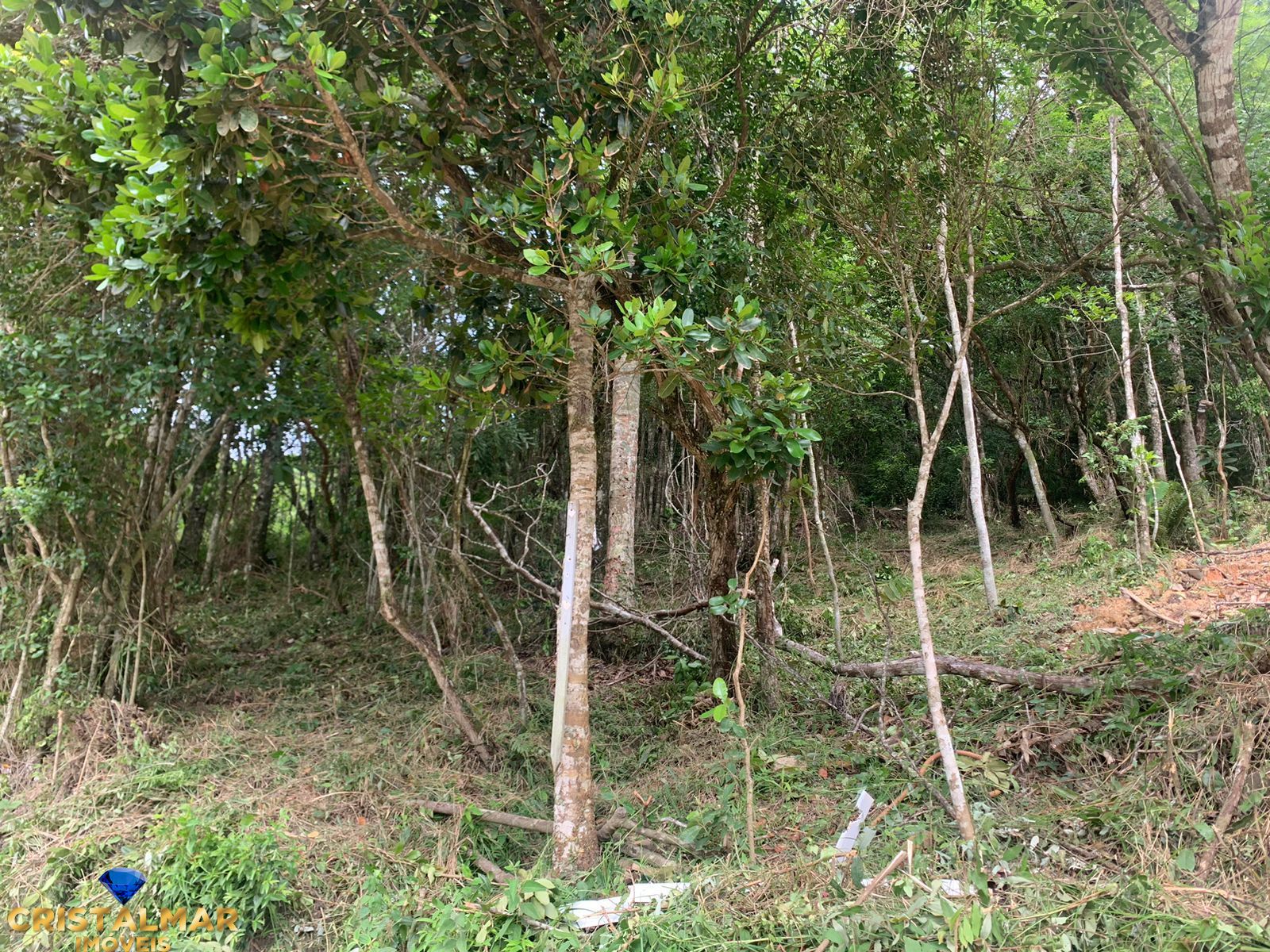 Terreno, 279 m² - Foto 3