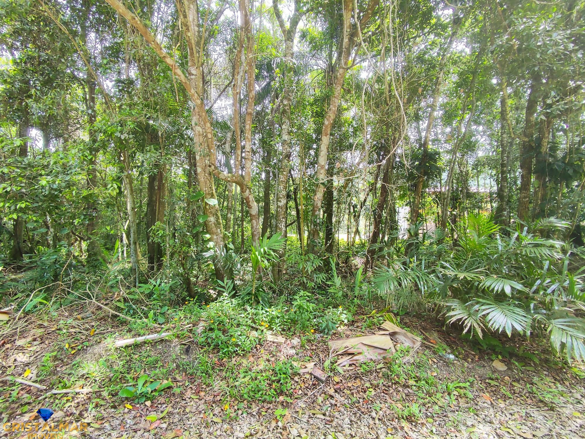 Terreno, 325 m² - Foto 1