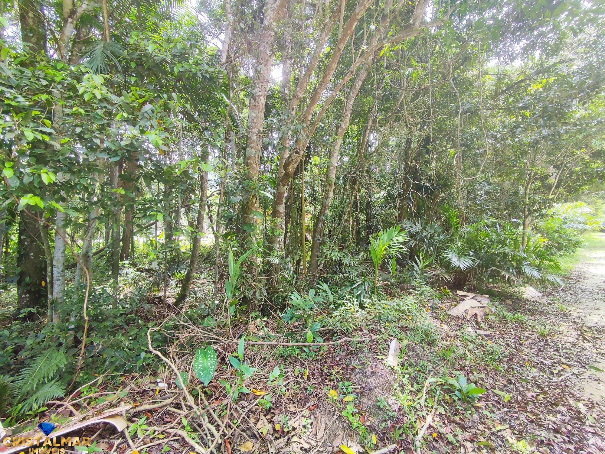 Terreno, 325 m² - Foto 6