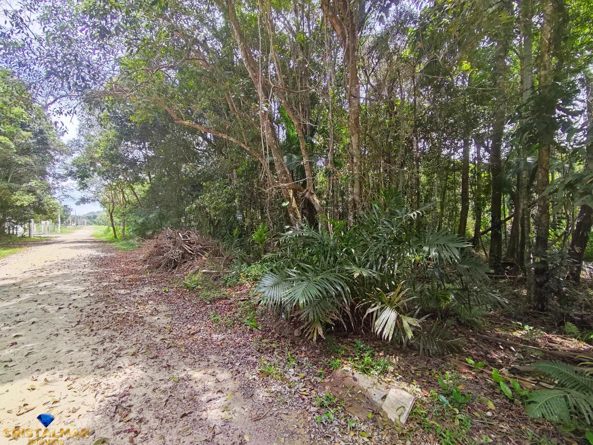 Terreno, 325 m² - Foto 3