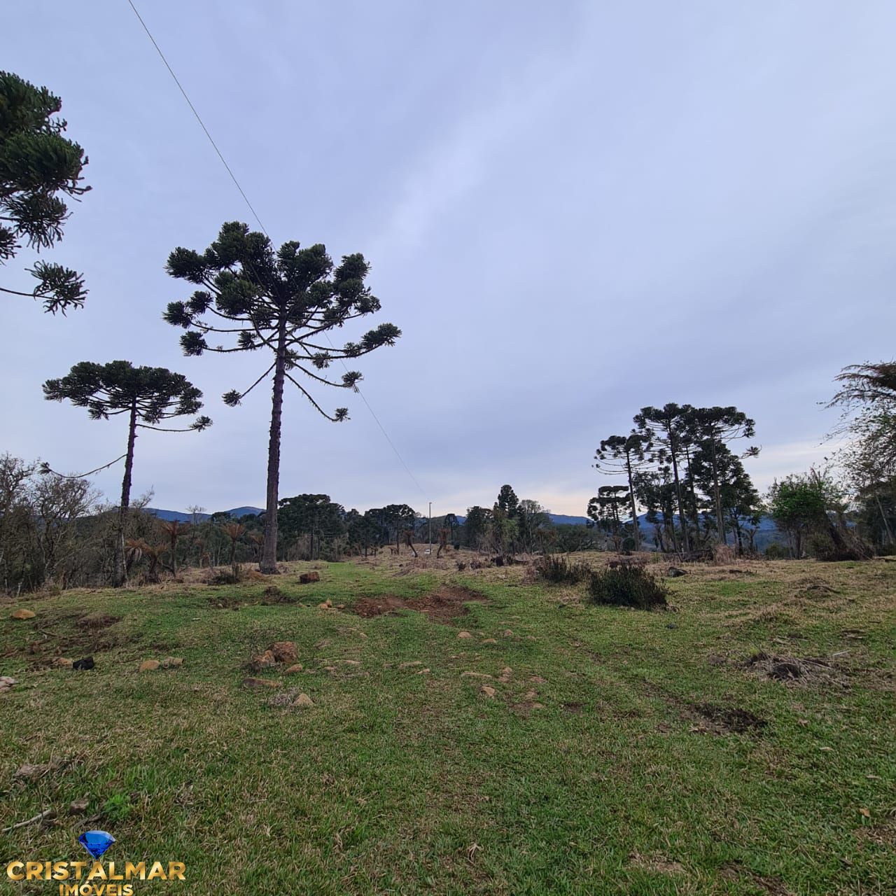 Loteamento e Condomínio, 2 hectares - Foto 3