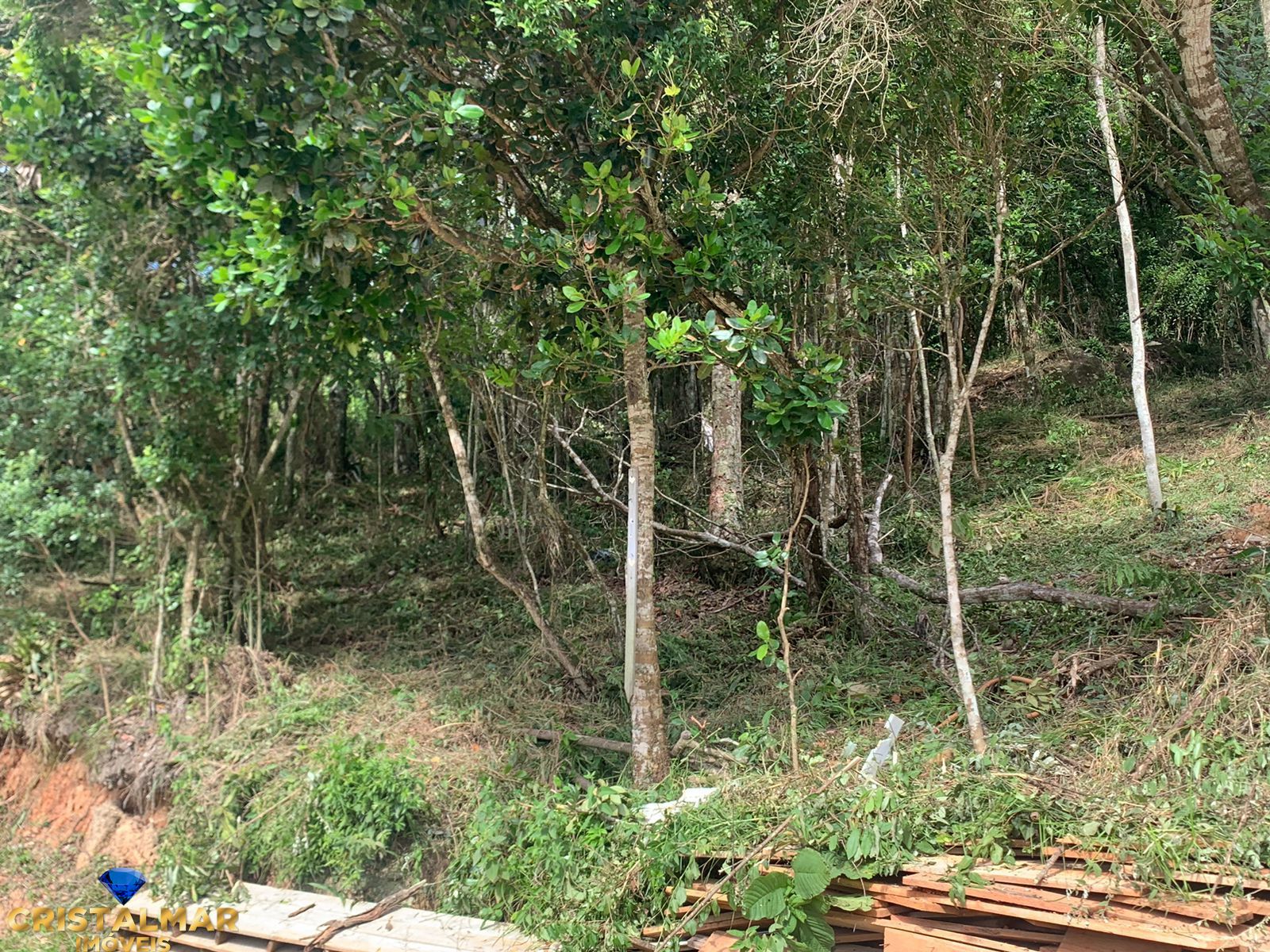 Terreno, 279 m² - Foto 4