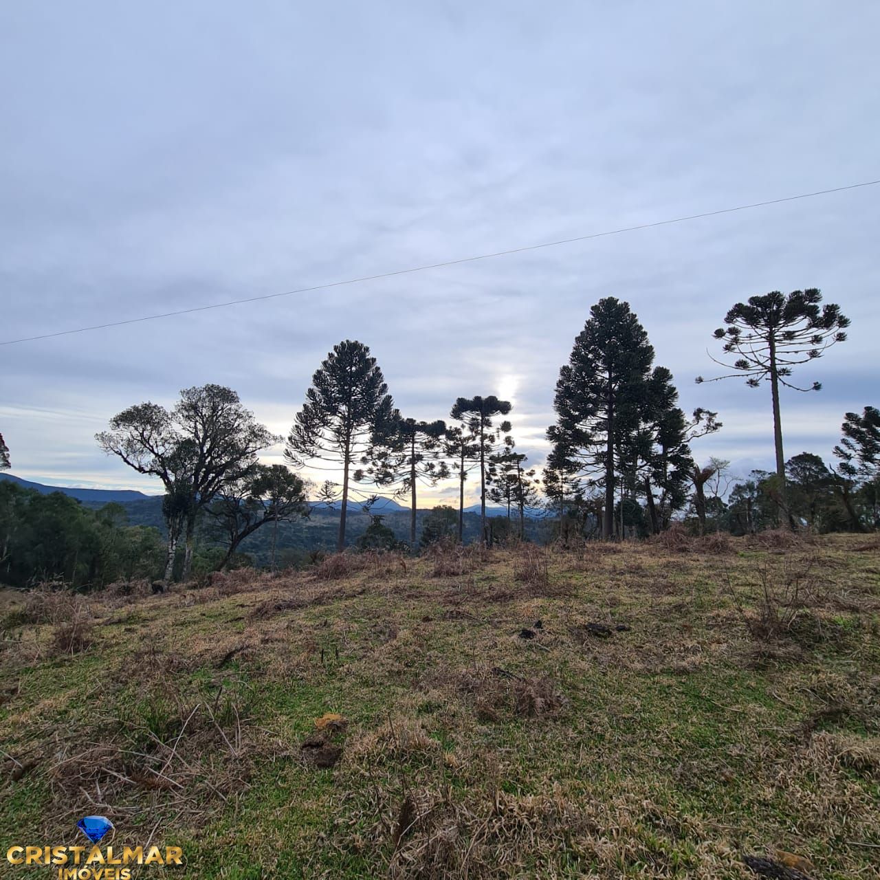 Loteamento e Condomínio à venda, 20000m² - Foto 6