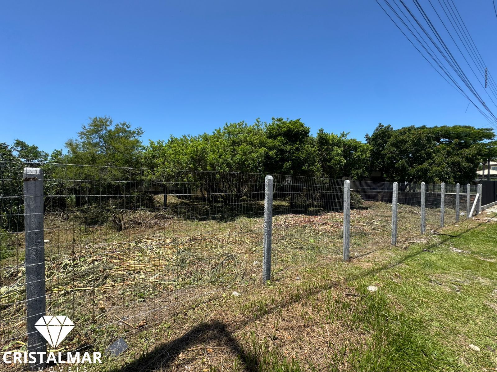 Dois terrenos juntos 600m a 150m do mar em Morrinhos - Bombinhas - foto 1