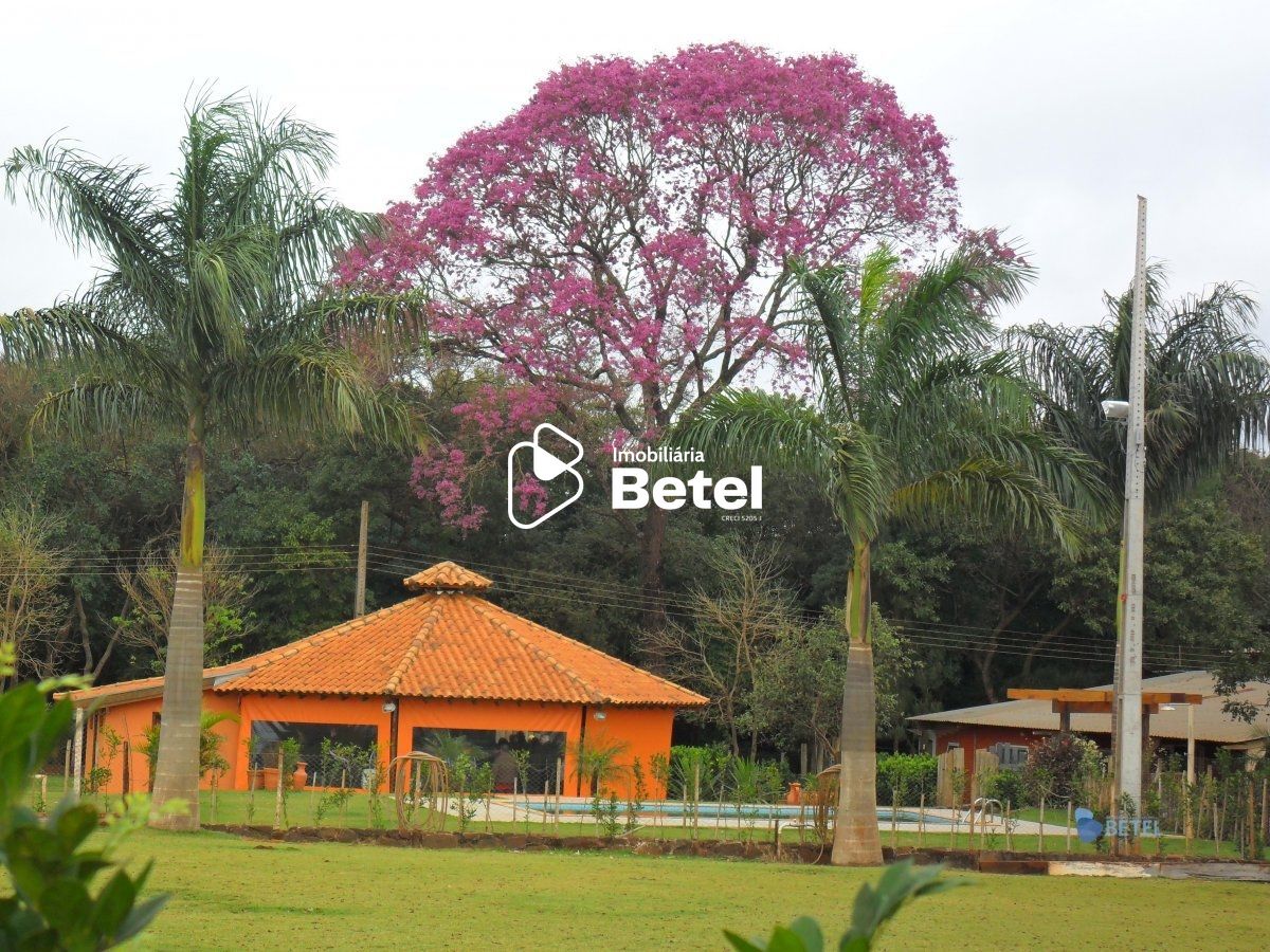 Chácara à venda com 2 quartos, 55000m² - Foto 33