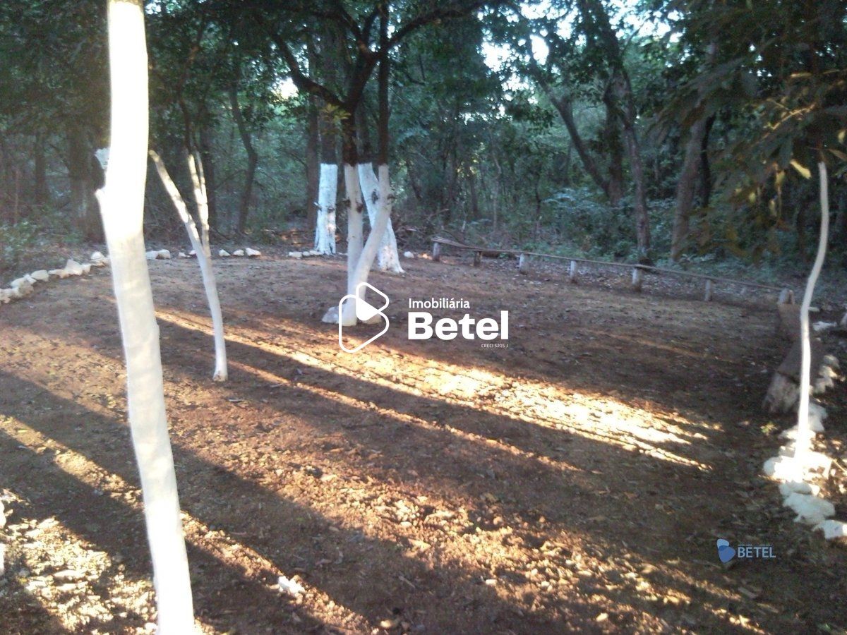 Chácara à venda com 2 quartos, 55000m² - Foto 22