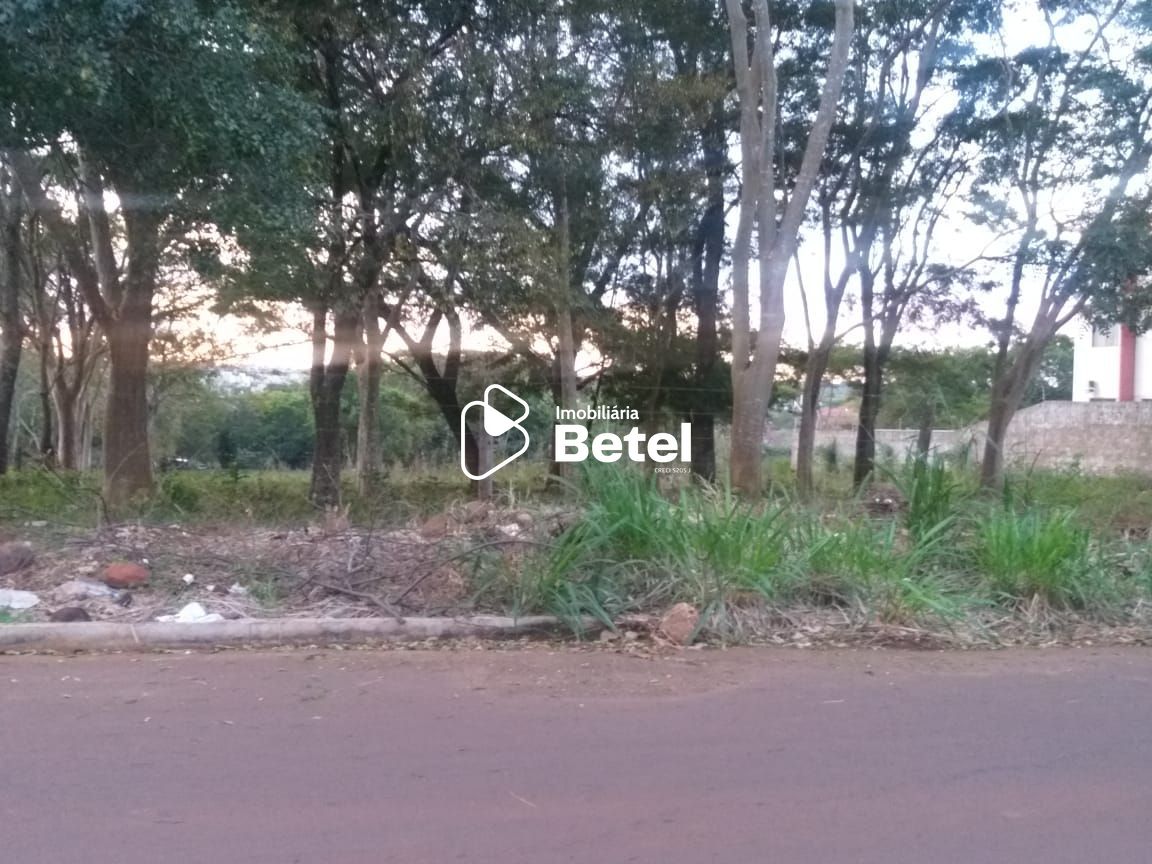 Terreno, 2 hectares - Foto 3