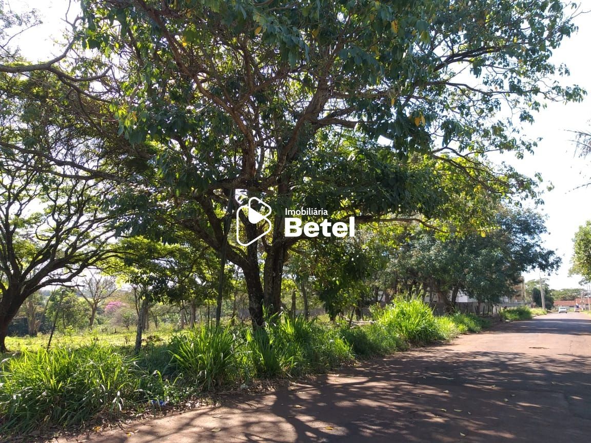 Terreno, 2 hectares - Foto 1