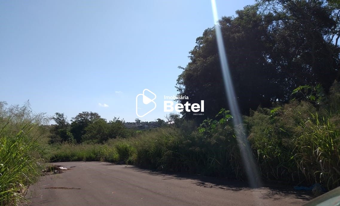 Terreno, 2 hectares - Foto 2