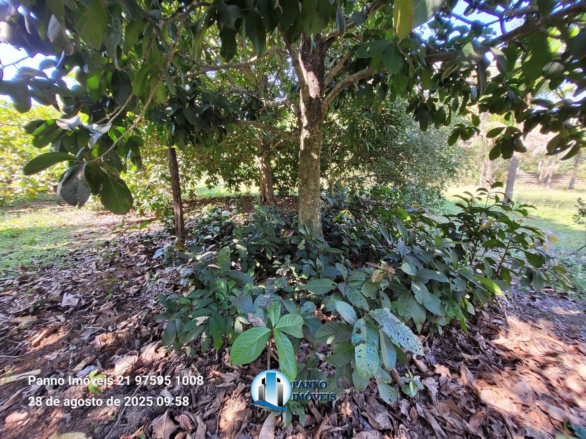 Terreno/Lote à venda, 11.218 m² por R$ 800.000,00 Terreno/Lote à venda, 11.218 m² por R$ 800.000,00