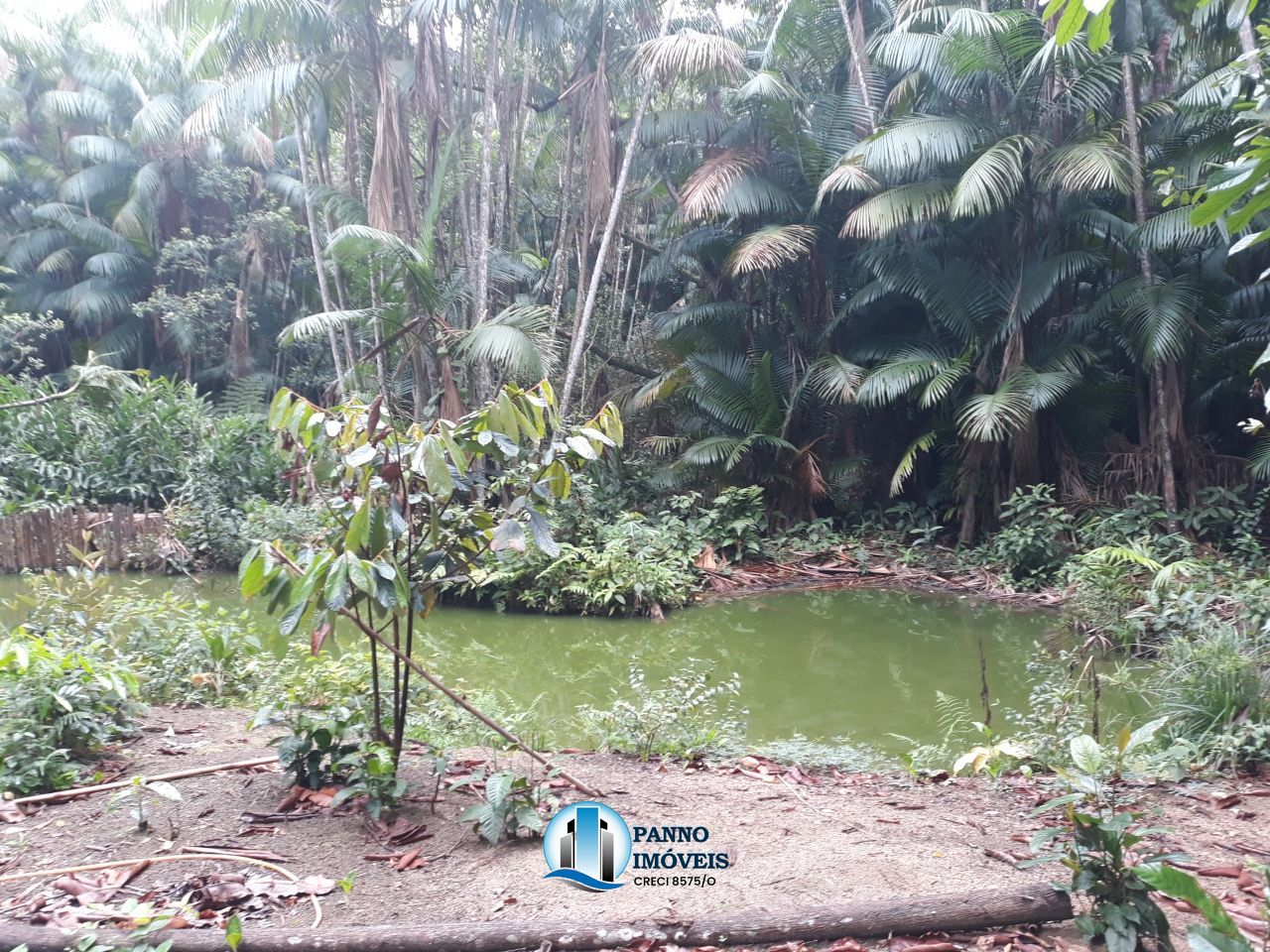 Fazenda à venda com 4 quartos, 300m² - Foto 20