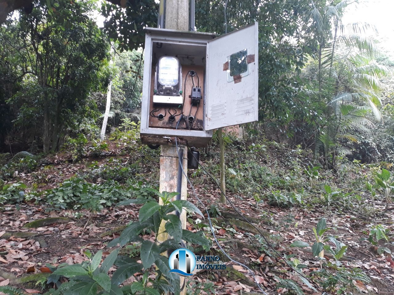 Fazenda à venda com 4 quartos, 300m² - Foto 12