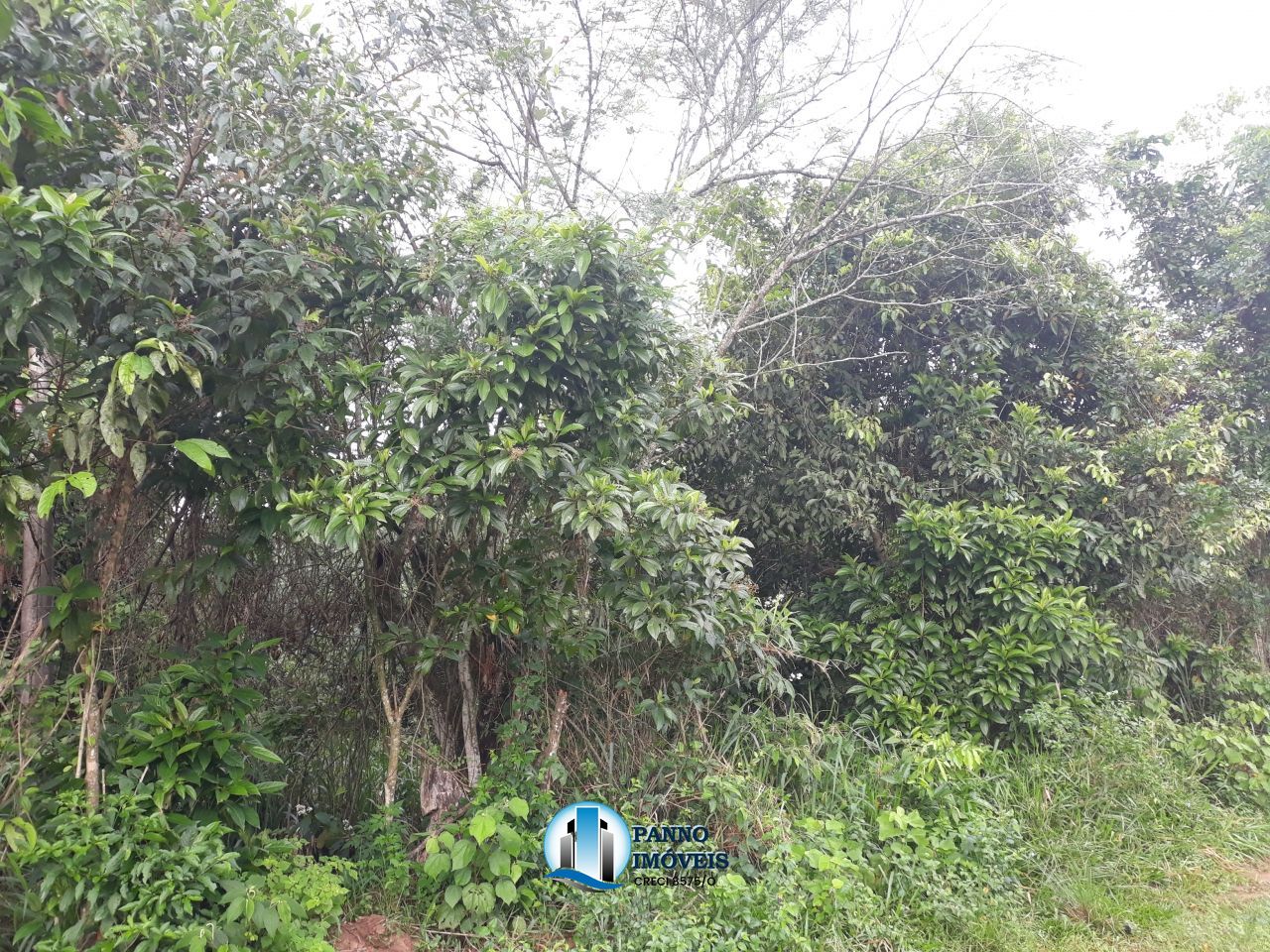 Fazenda à venda com 4 quartos, 300m² - Foto 13