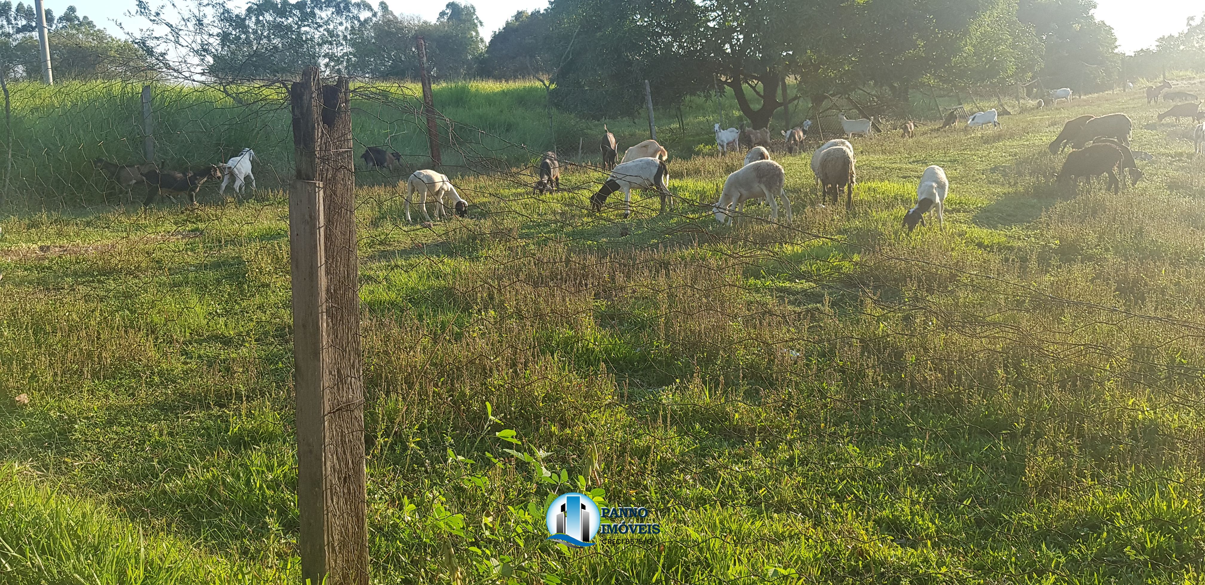 Fazenda/stio/chcara/haras  venda  no Capivari - Duque de Caxias, RJ. Imveis