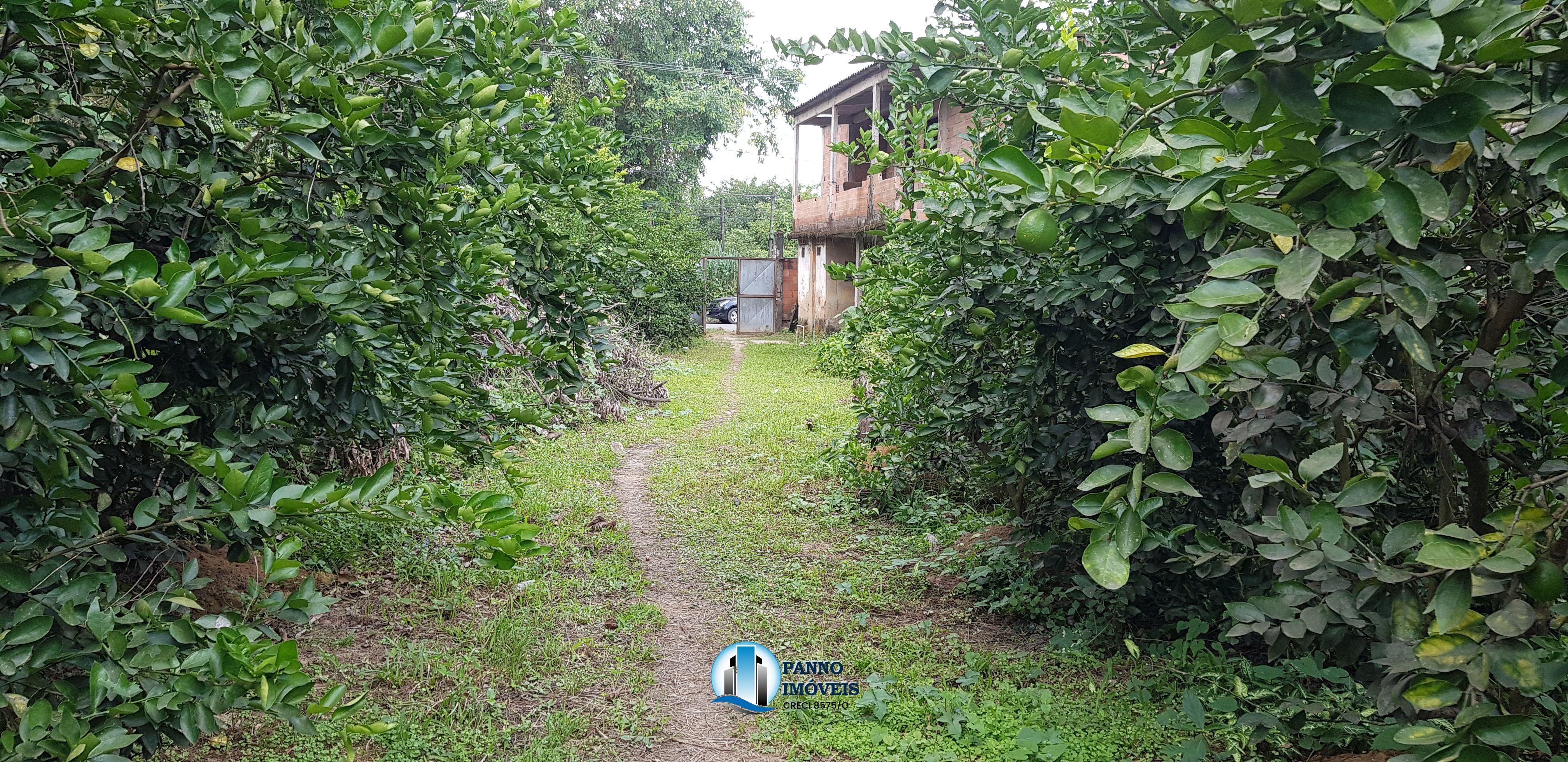 Fazenda/stio/chcara/haras  venda  no Capivari - Duque de Caxias, RJ. Imveis