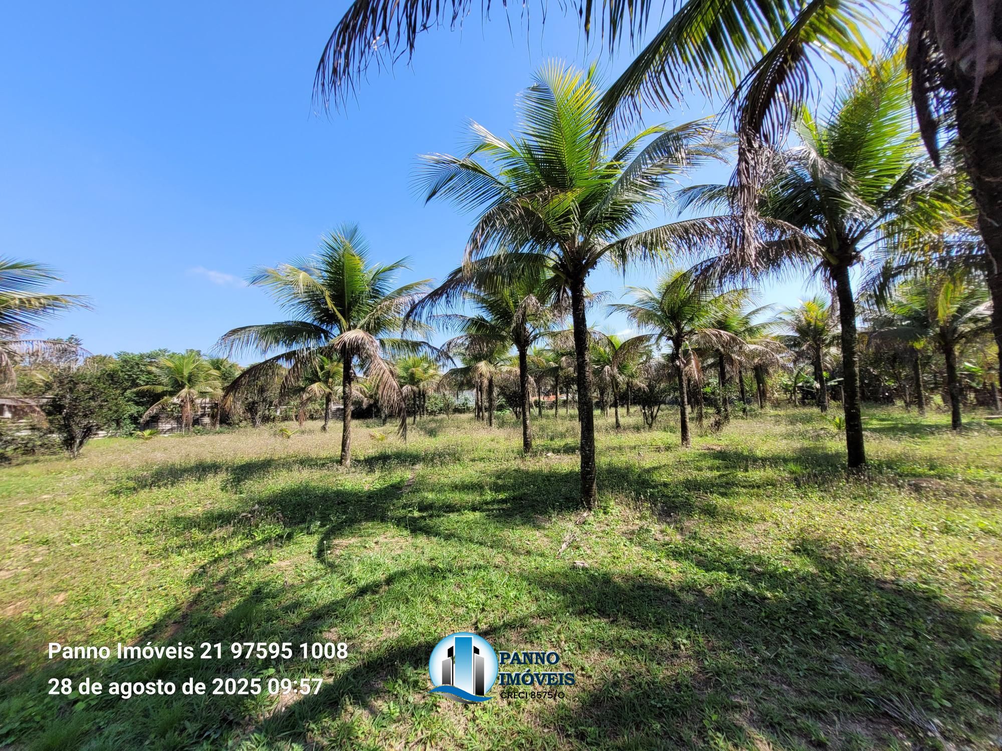 Terreno/Lote à venda, 11.218 m² por R$ 800.000,00 Terreno/Lote à venda, 11.218 m² por R$ 800.000,00