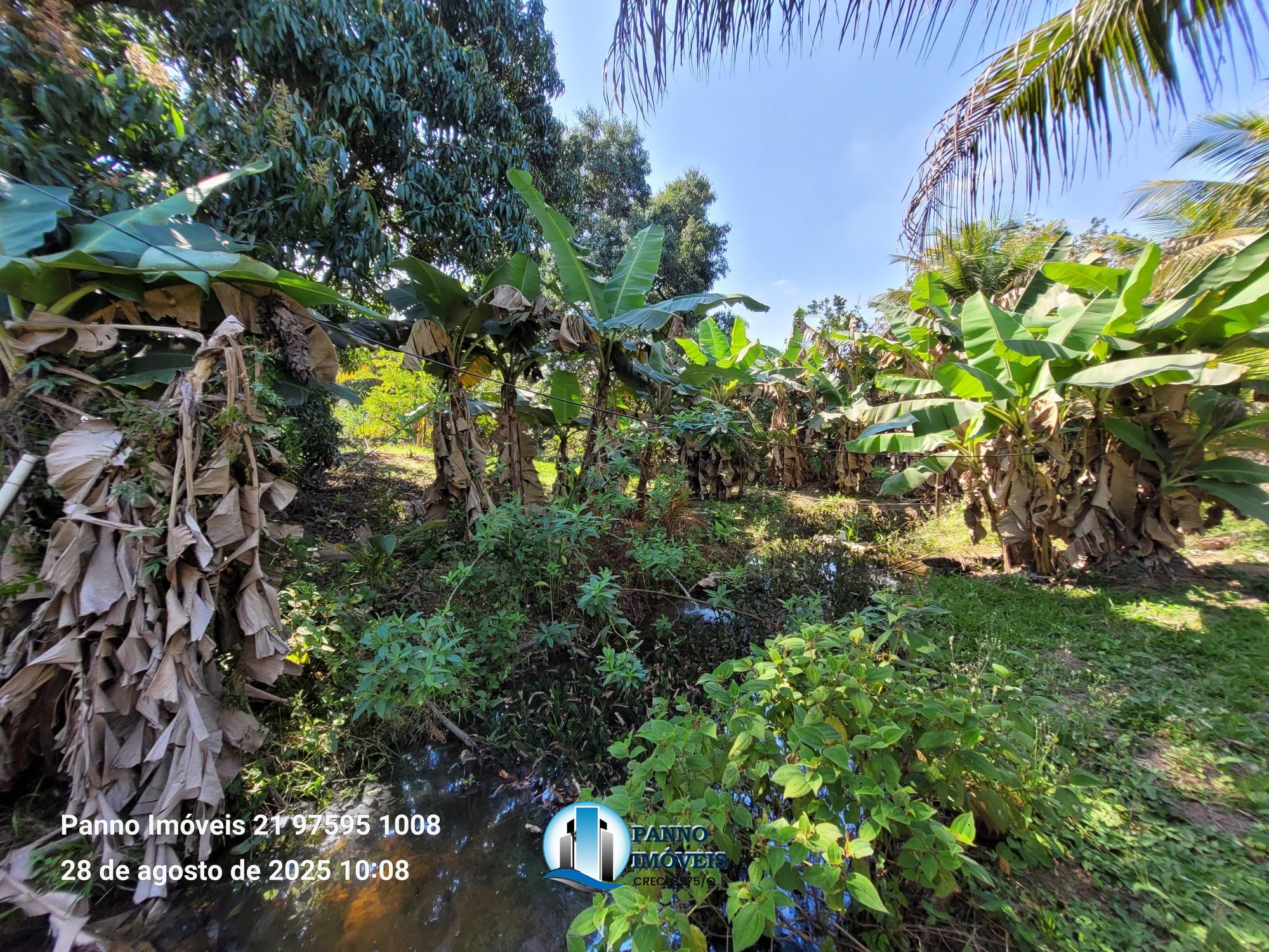 Terreno/Lote à venda, 11.218 m² por R$ 800.000,00 Terreno/Lote à venda, 11.218 m² por R$ 800.000,00