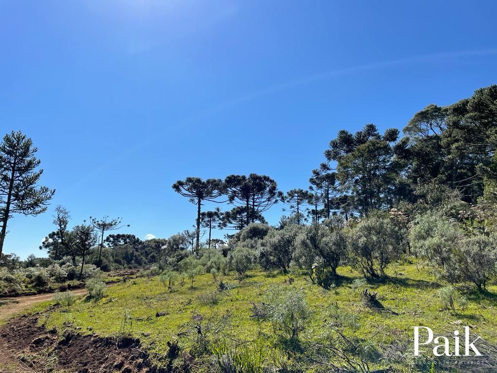 Loteamento e Condomínio, 5 hectares - Foto 1