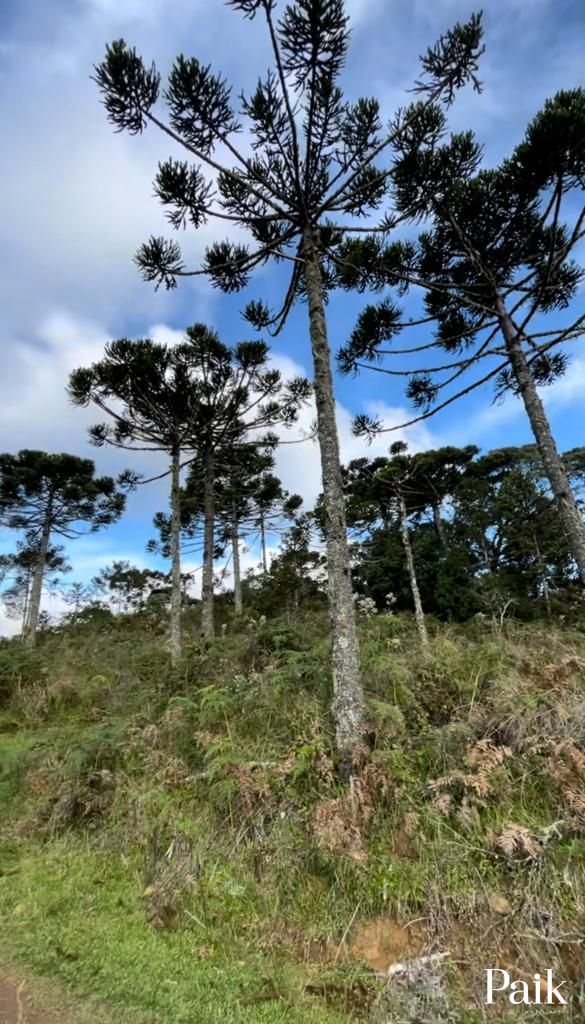 Loteamento e Condomínio à venda, 54000m² - Foto 3