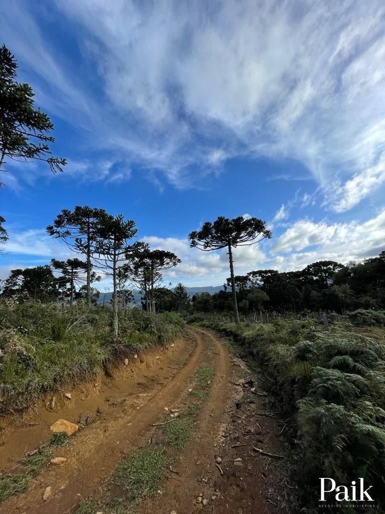 Loteamento e Condomínio, 5 hectares - Foto 4