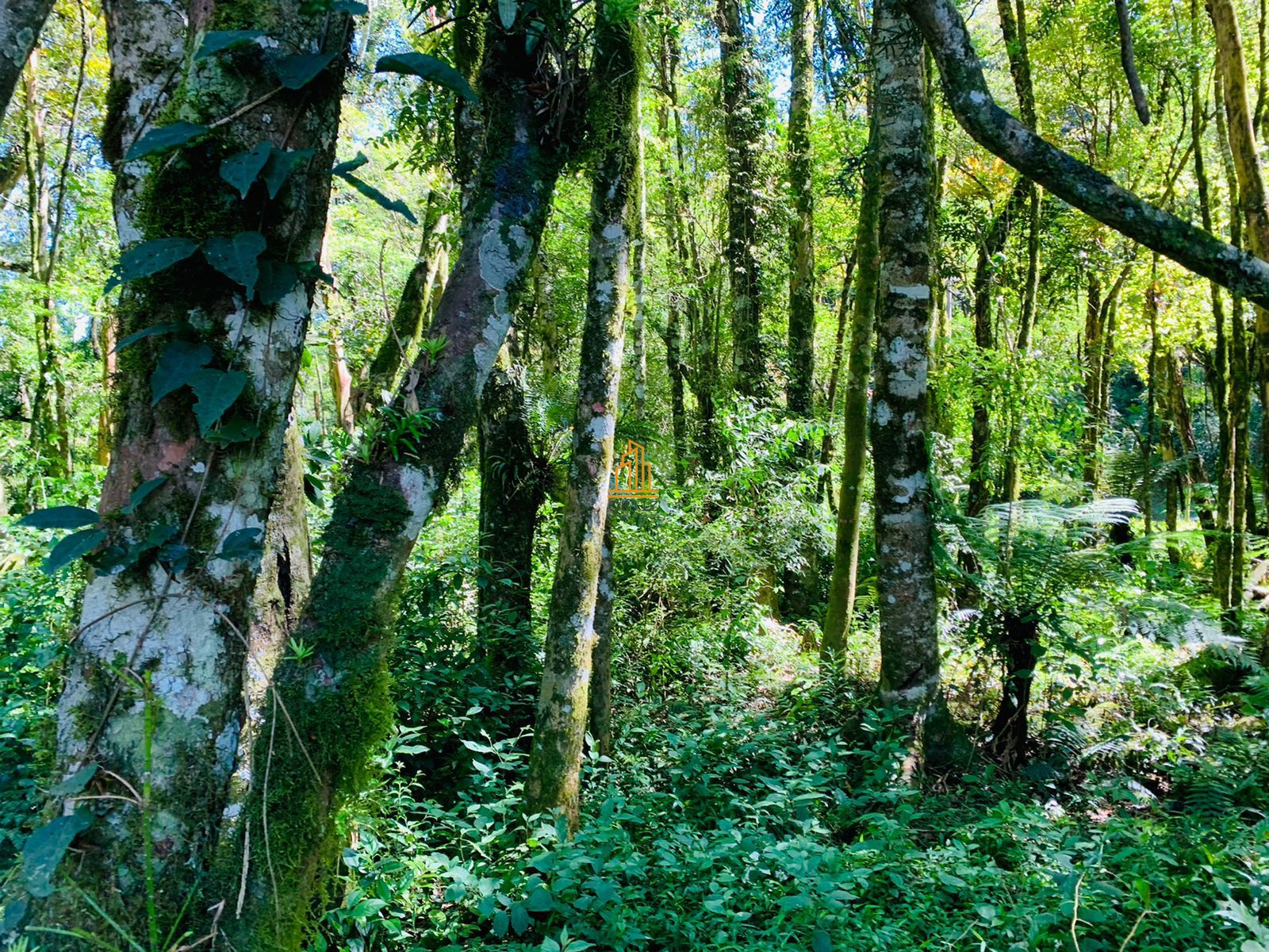 Terreno, 802 m² - Foto 24