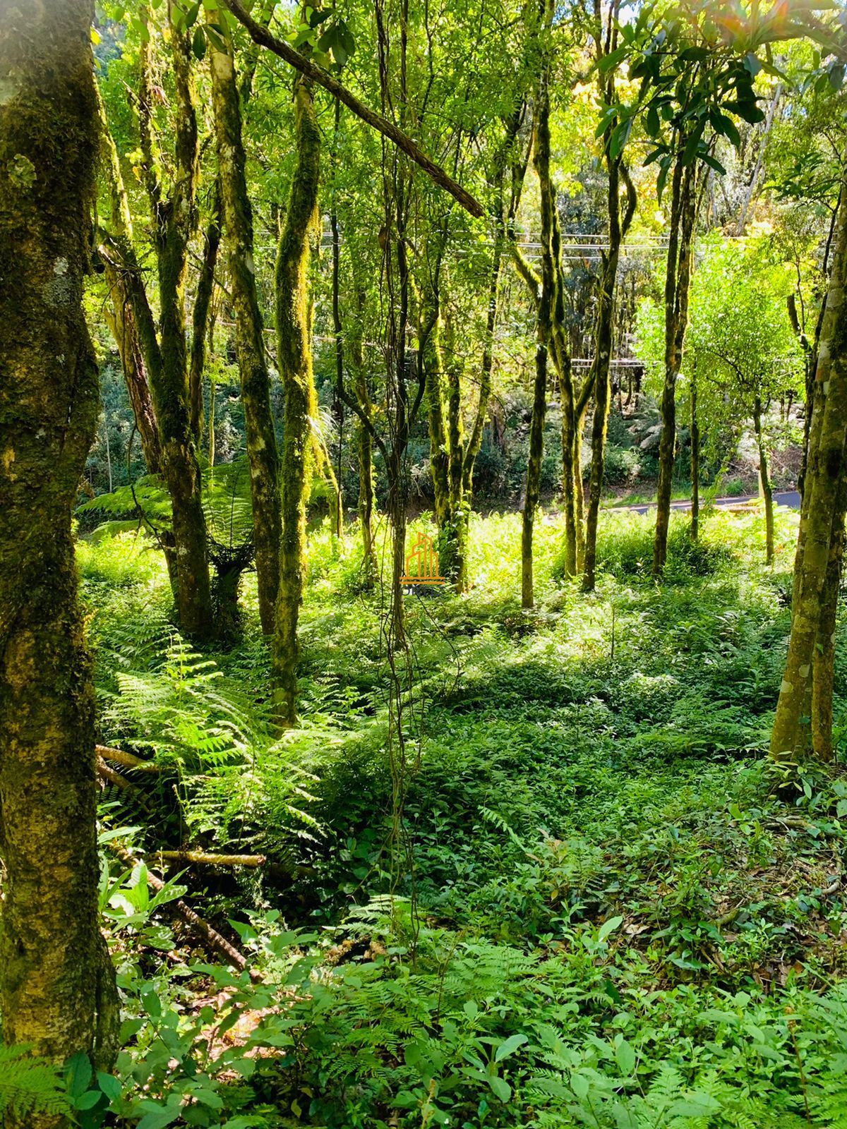 Terreno, 802 m² - Foto 23