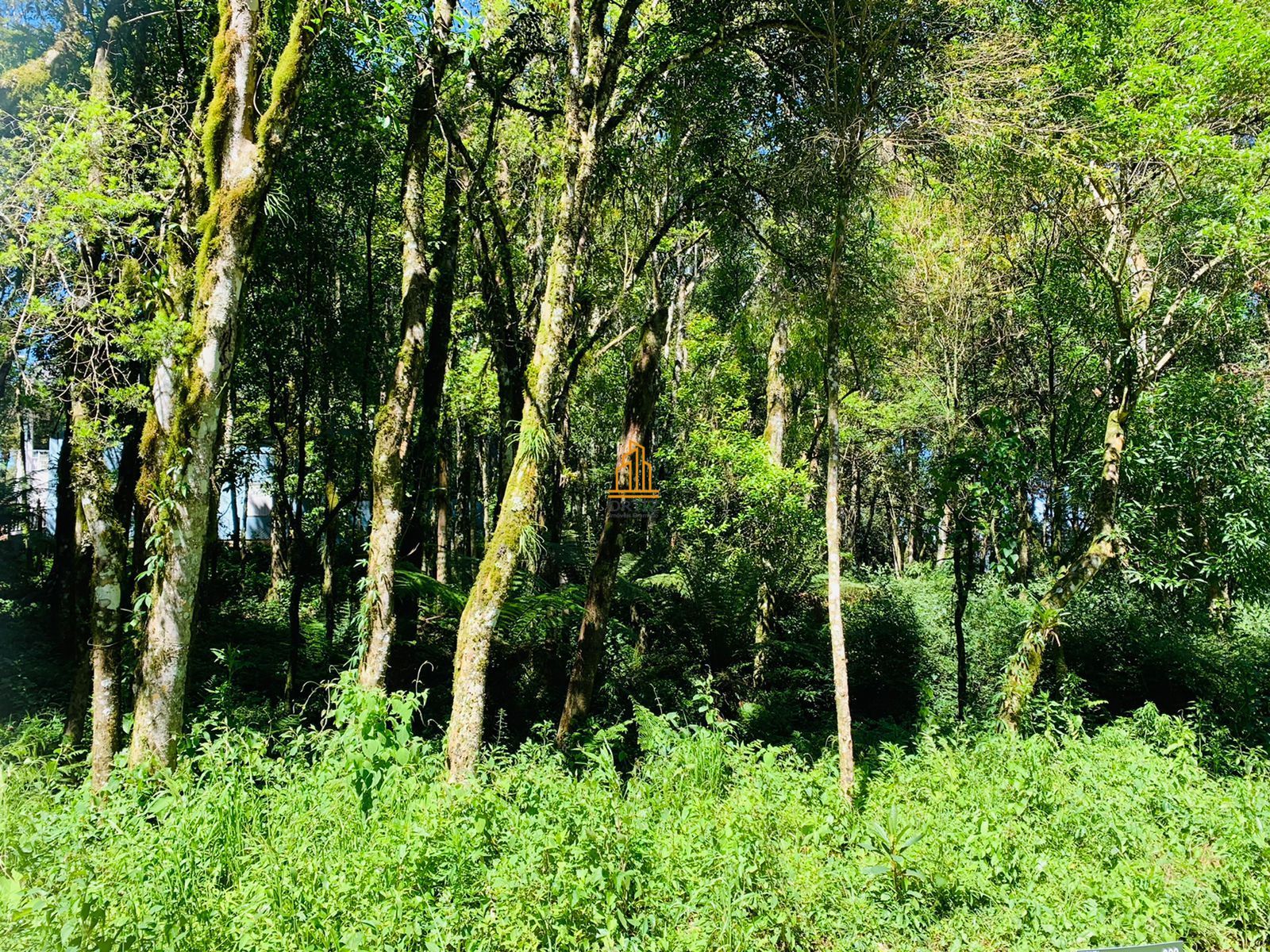 Terreno, 802 m² - Foto 28