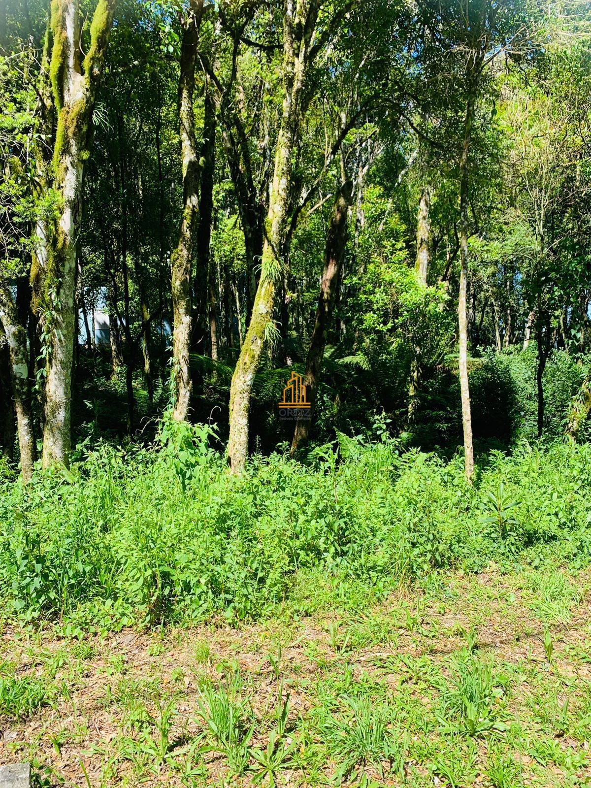 Terreno, 802 m² - Foto 19