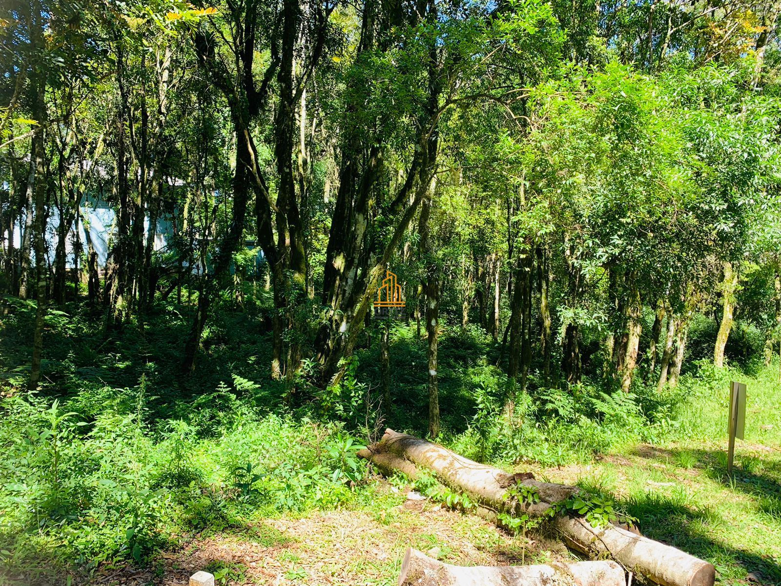 Terreno, 802 m² - Foto 27