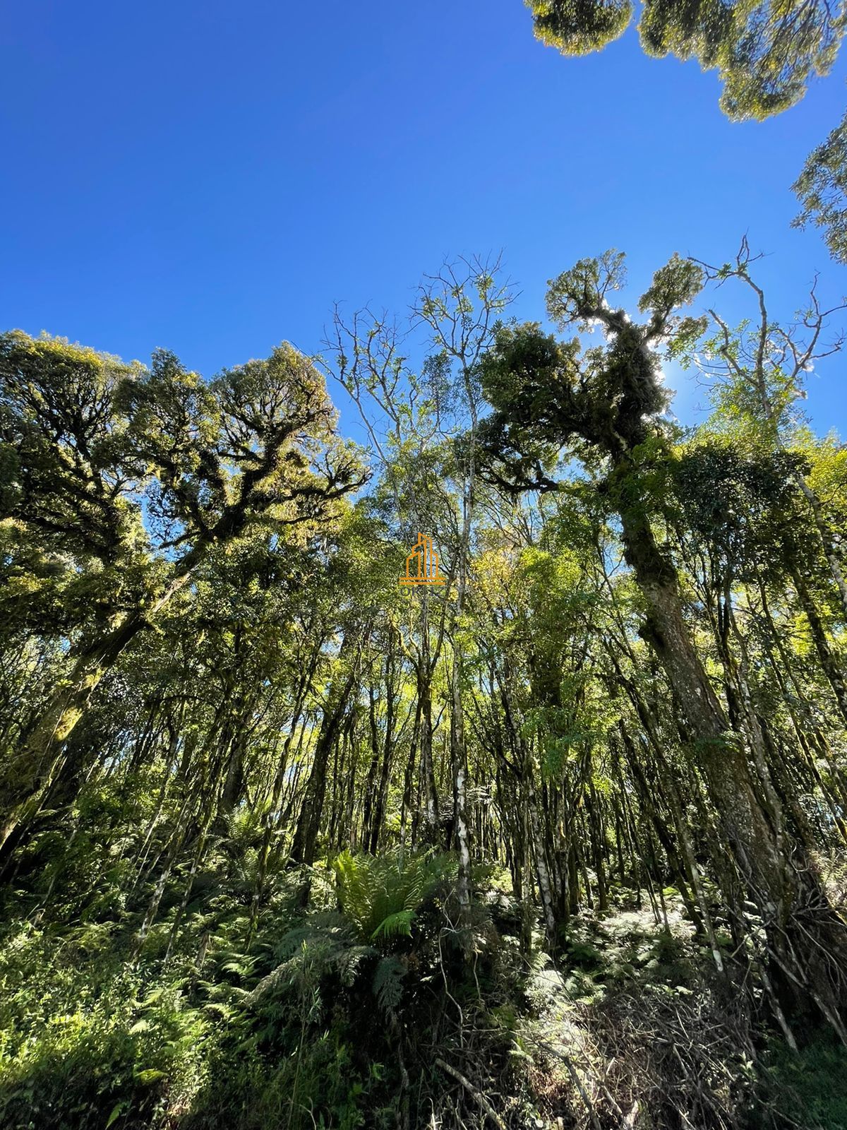 Terreno, 802 m² - Foto 20