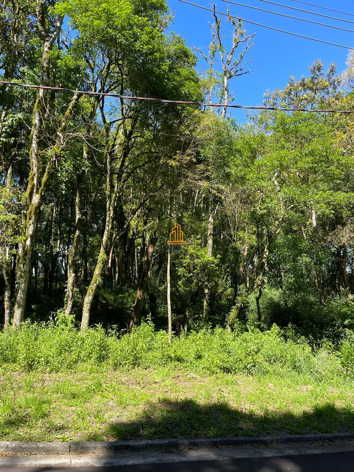 Terreno, 802 m² - Foto 17