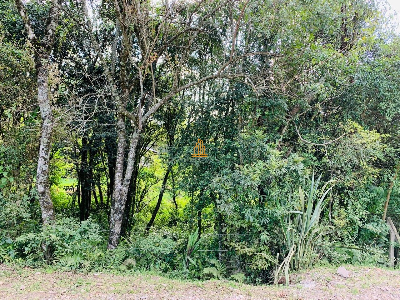 Terreno, 473 m² - Foto 8