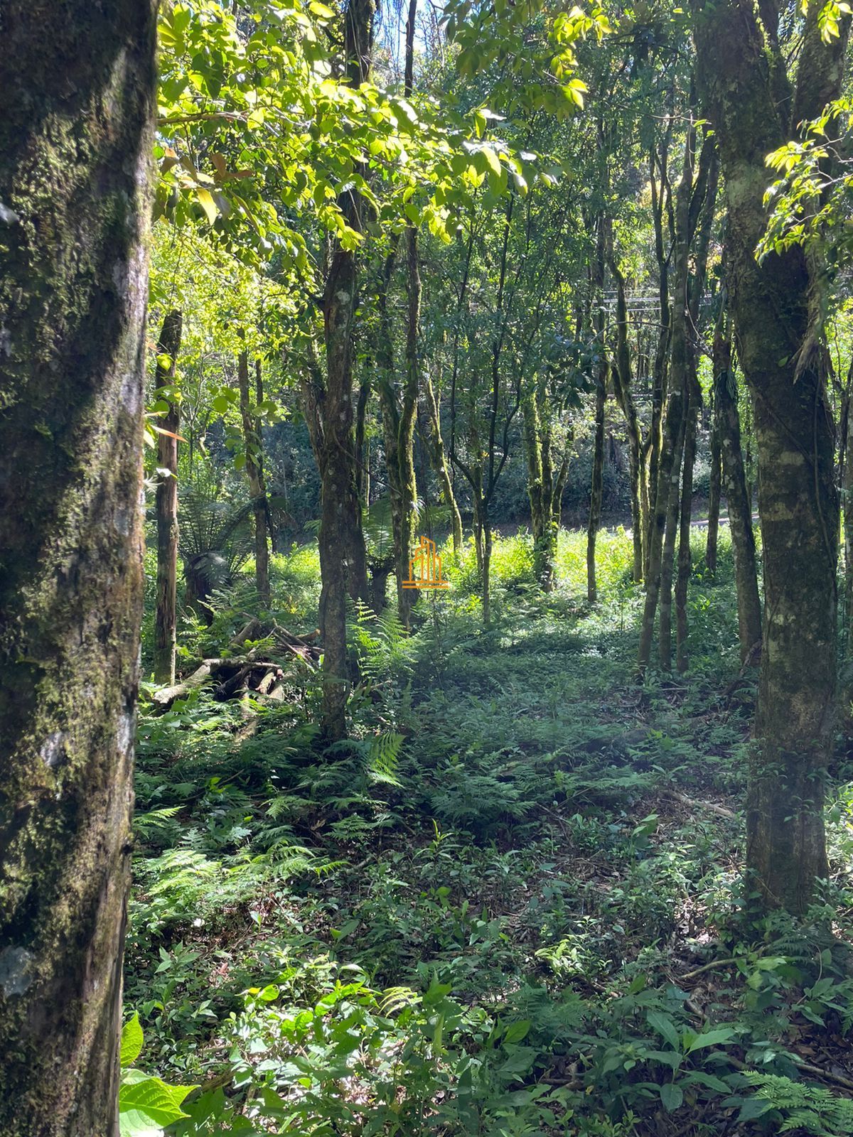 Terreno, 802 m² - Foto 15