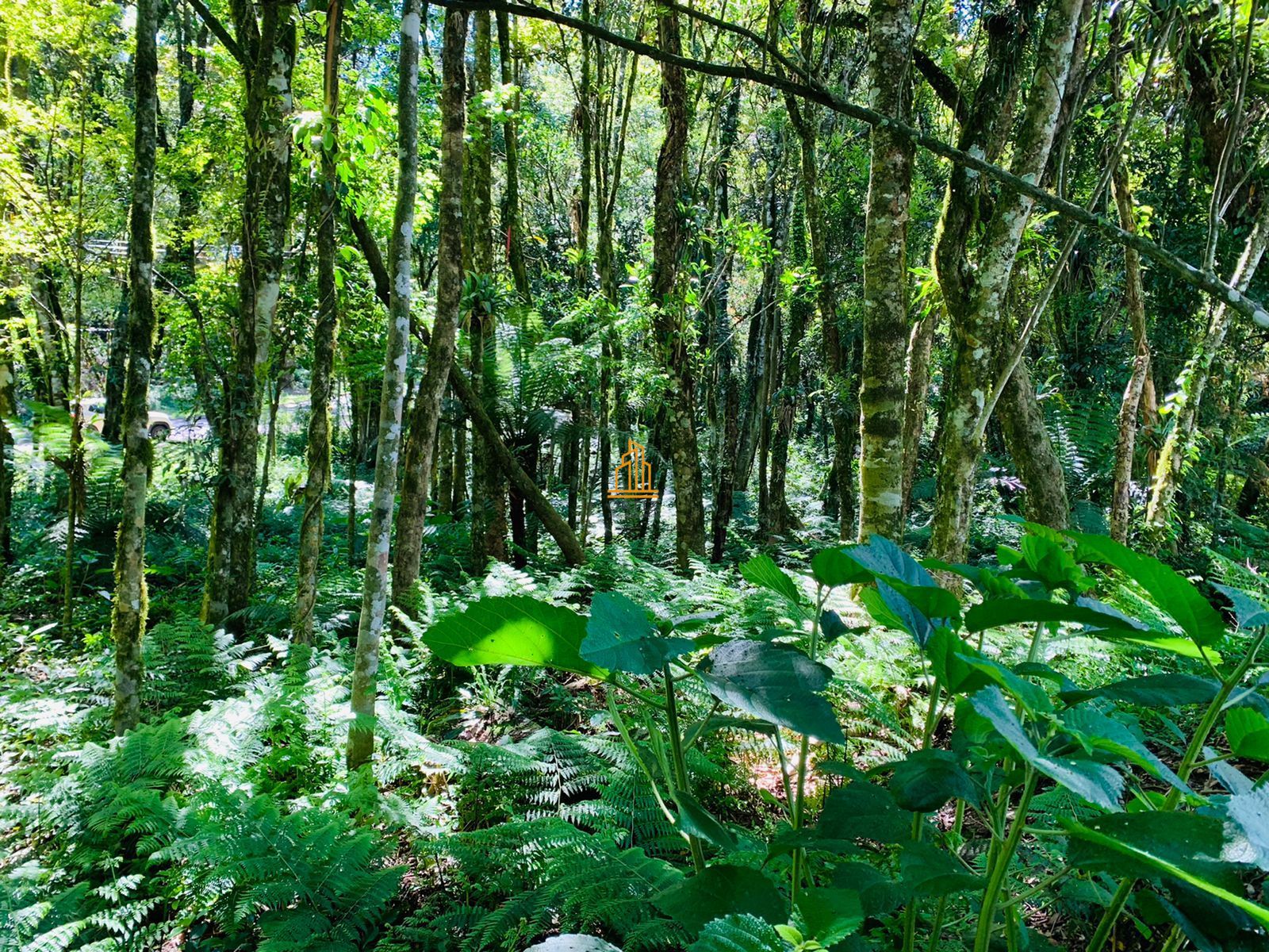 Terreno, 802 m² - Foto 2