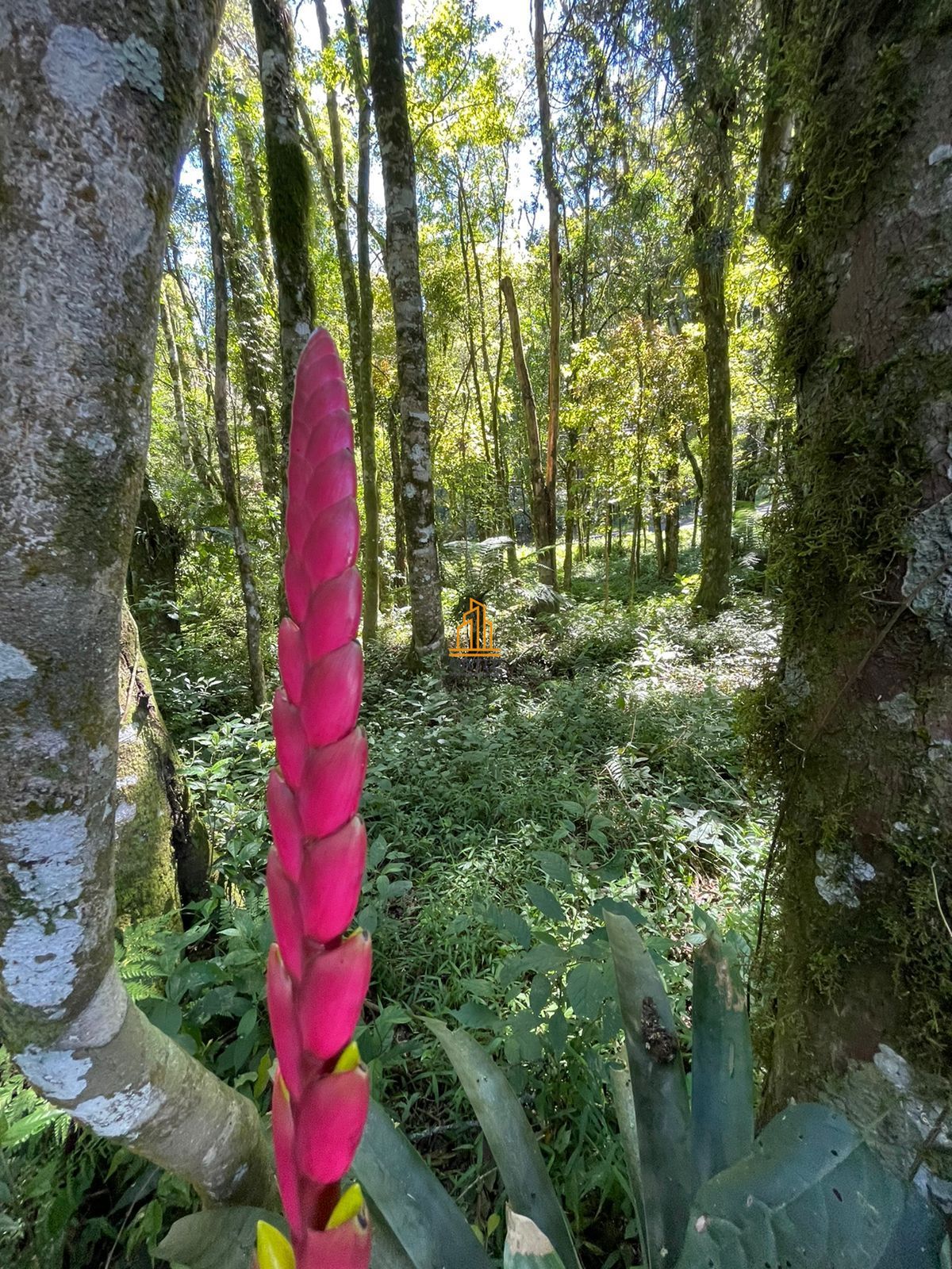 Terreno, 802 m² - Foto 25