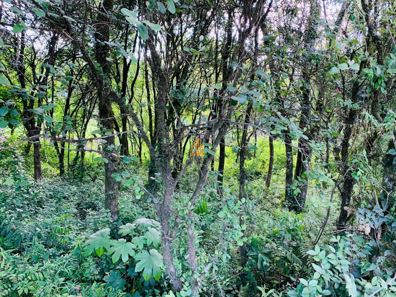 Terreno, 473 m² - Foto 9