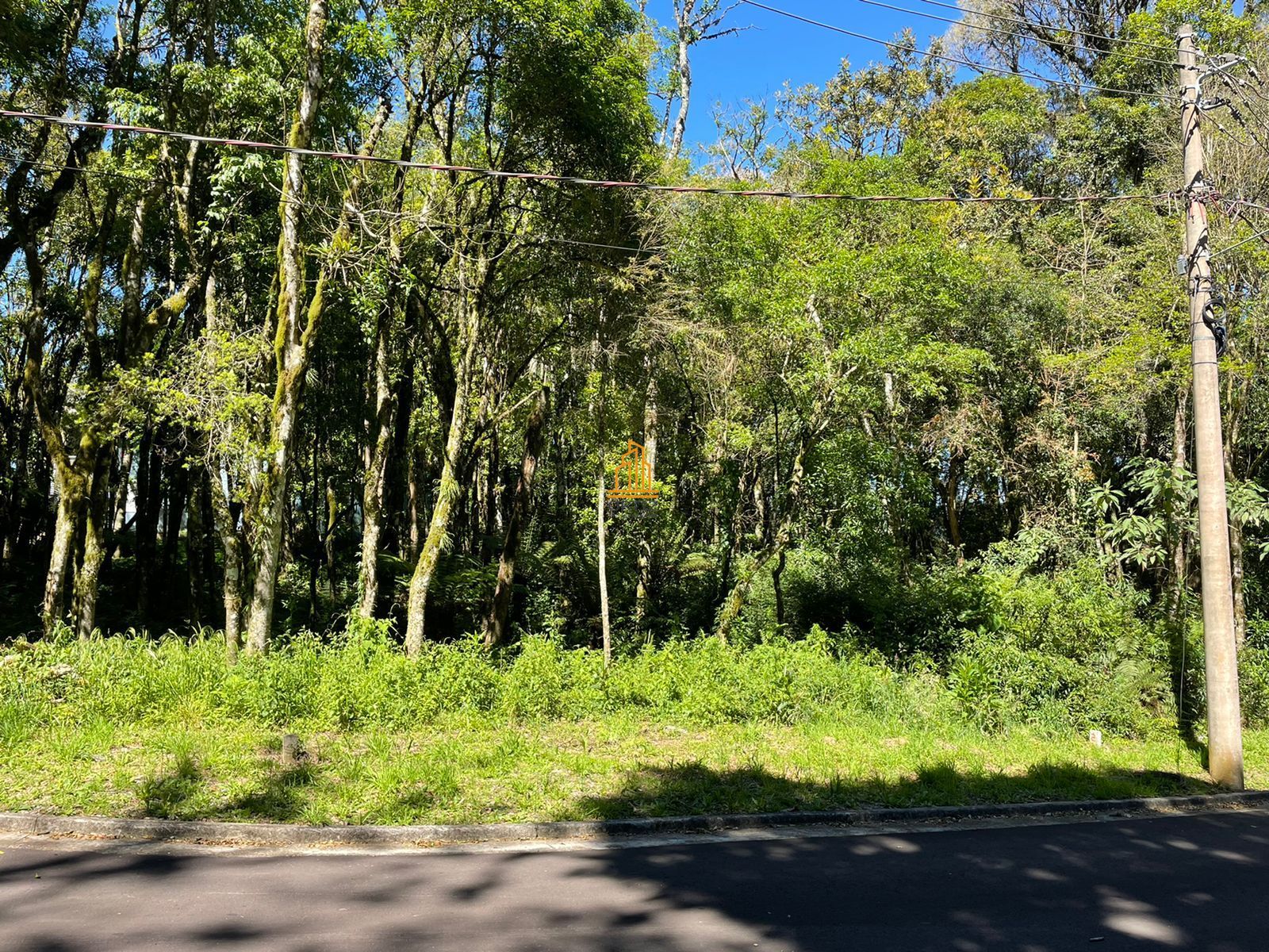 Terreno, 802 m² - Foto 11