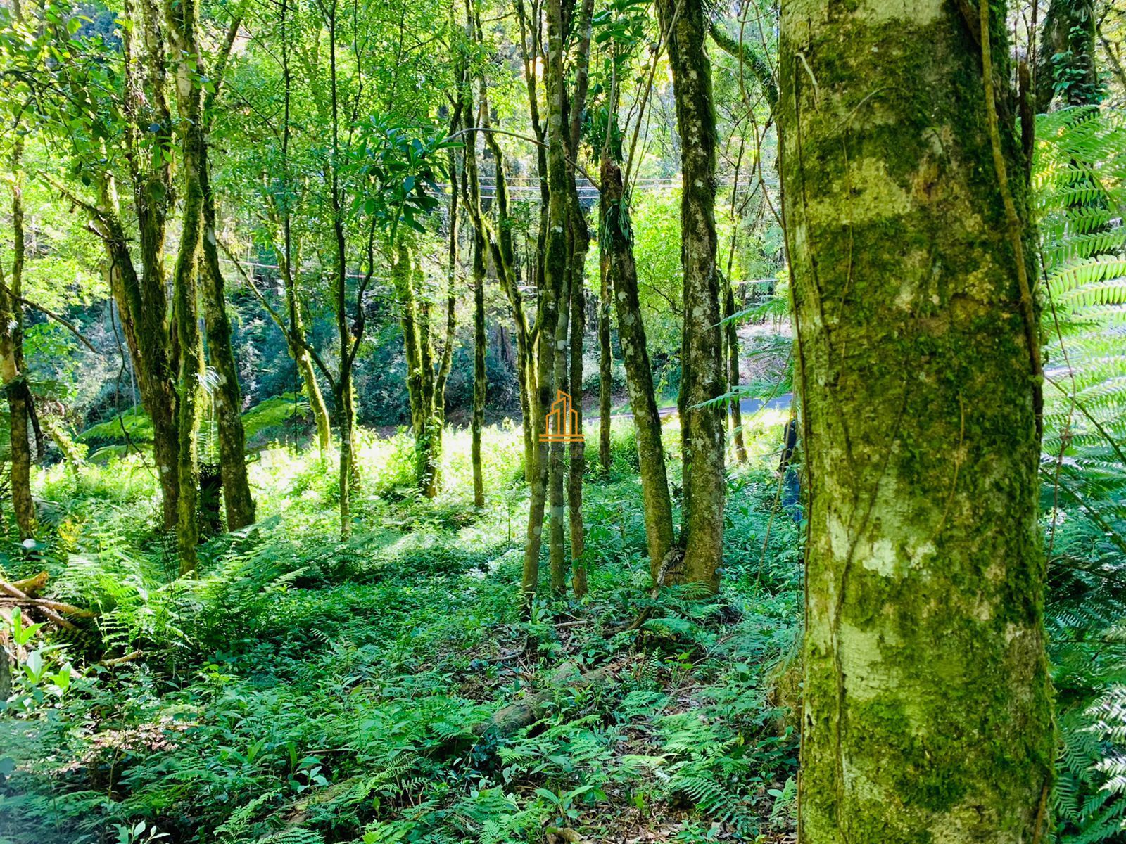 Terreno, 802 m² - Foto 7