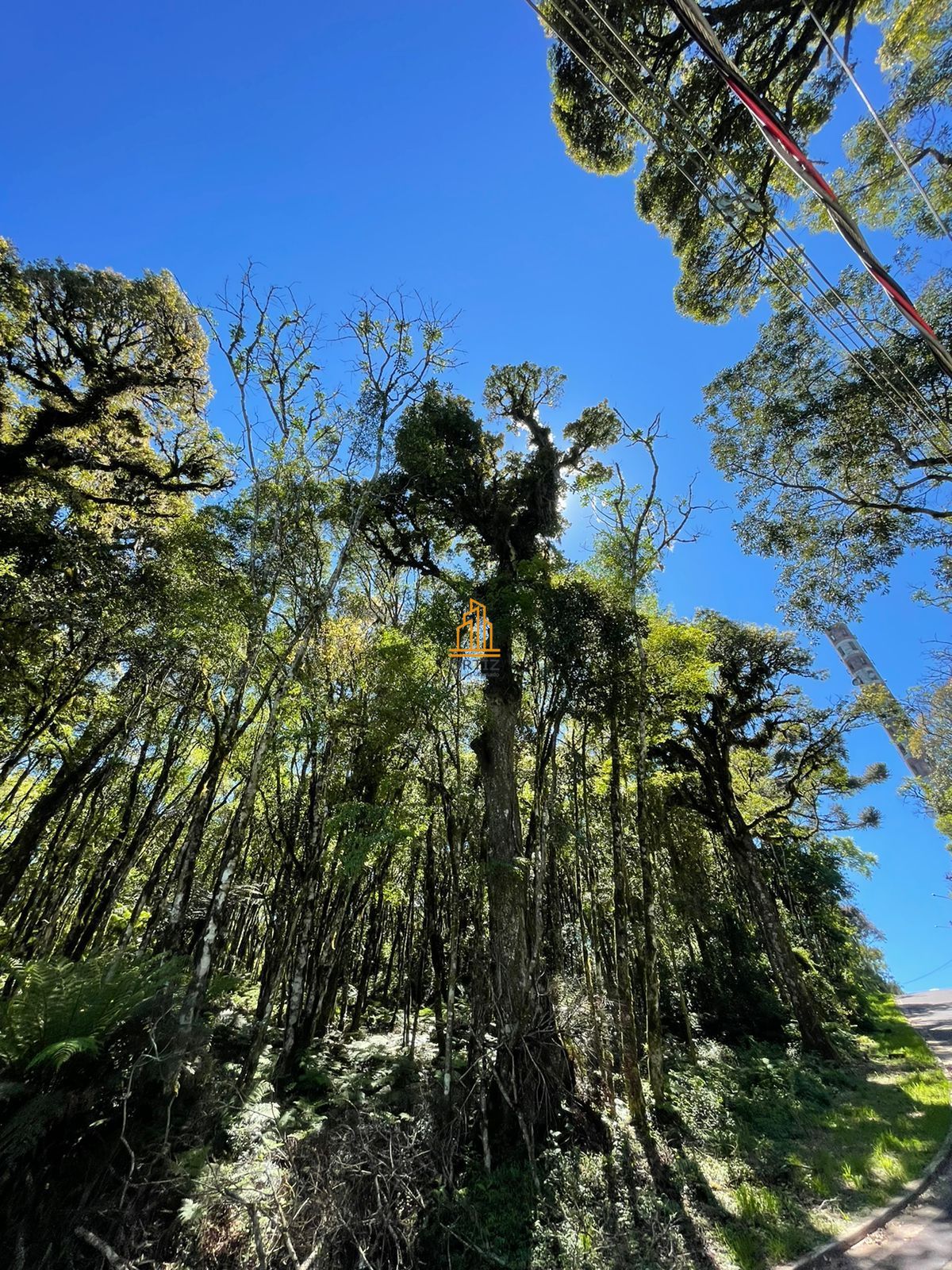 Terreno, 802 m² - Foto 16