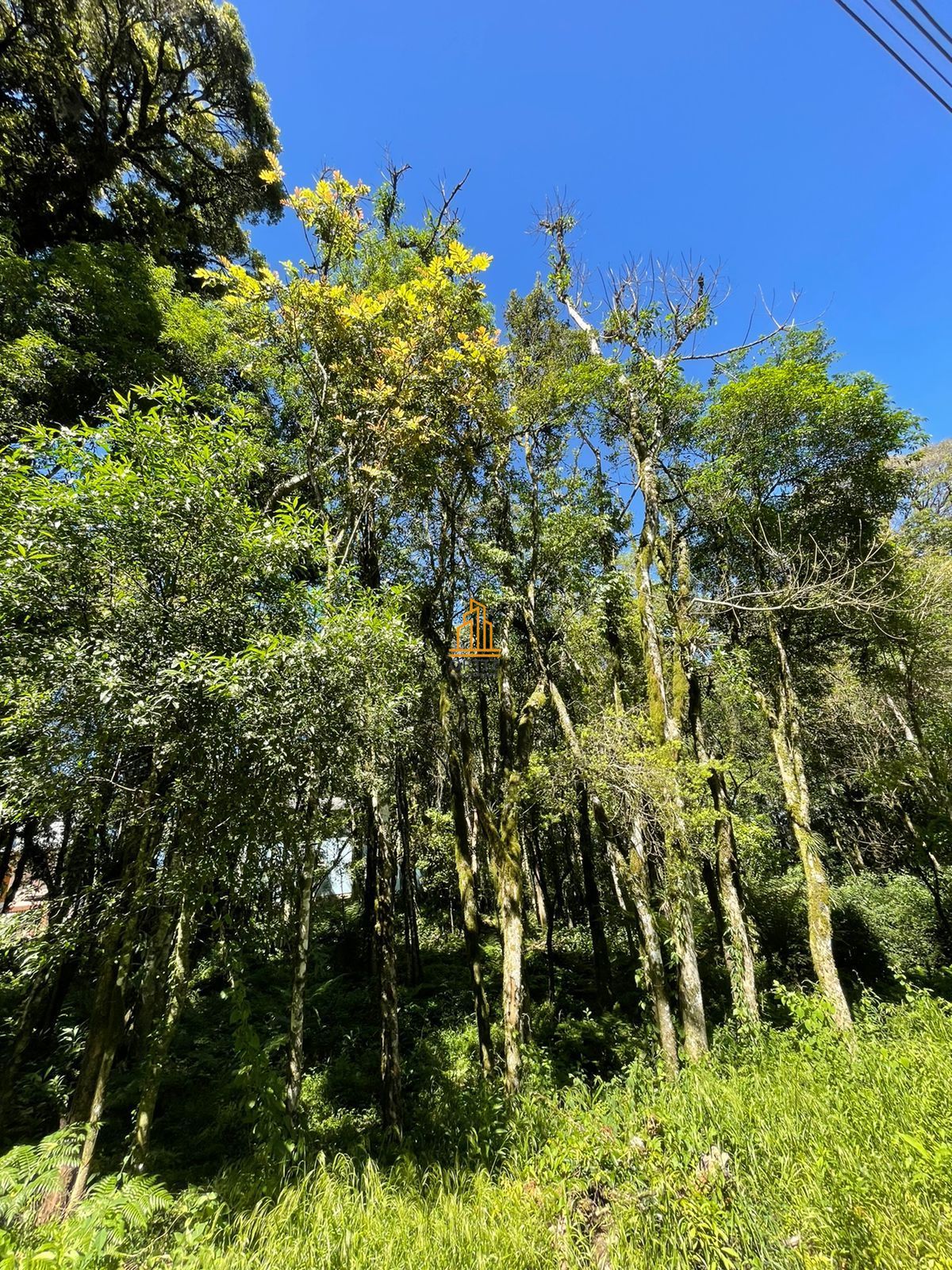 Terreno, 802 m² - Foto 6