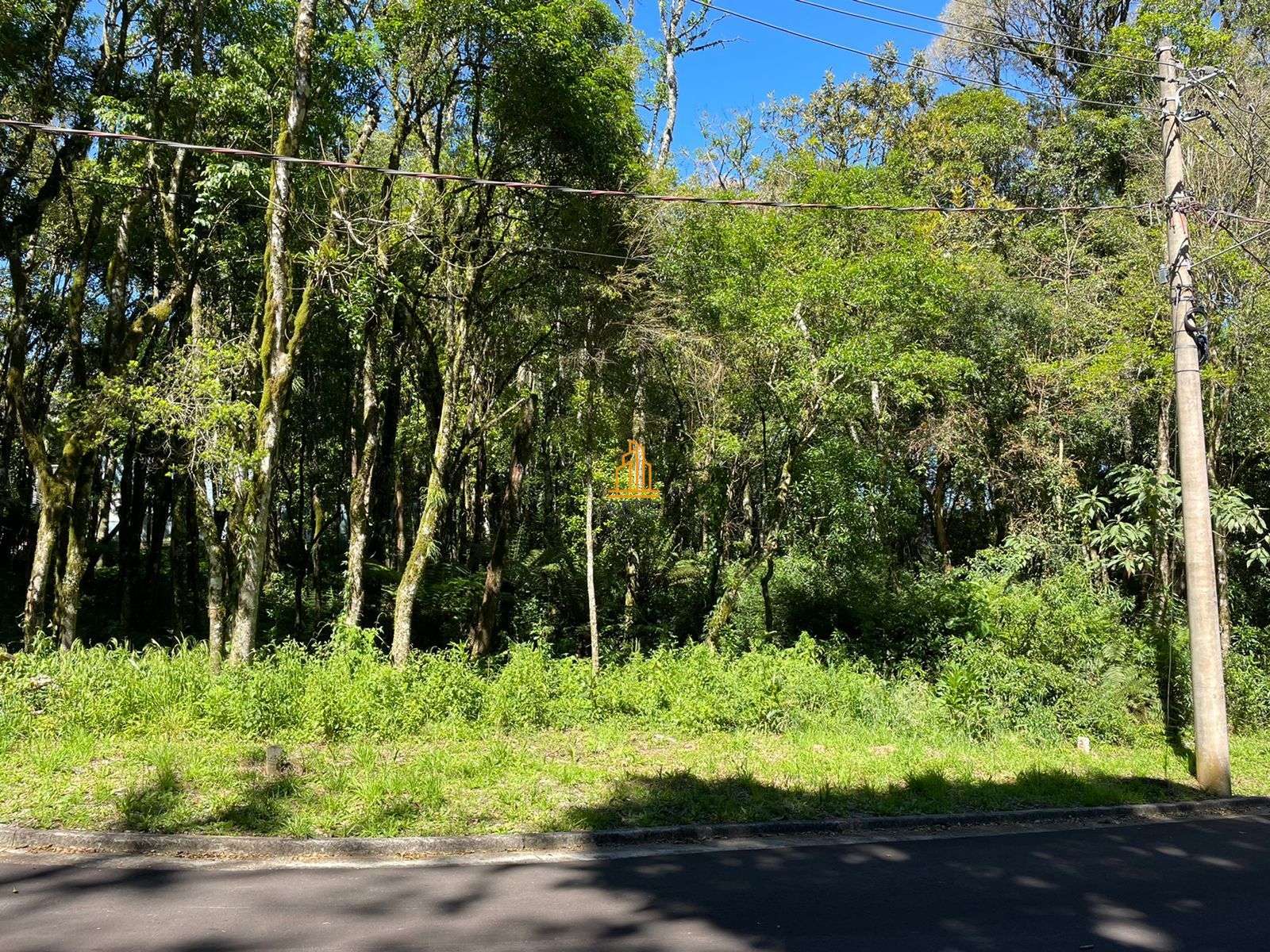 Terreno, 802 m² - Foto 3