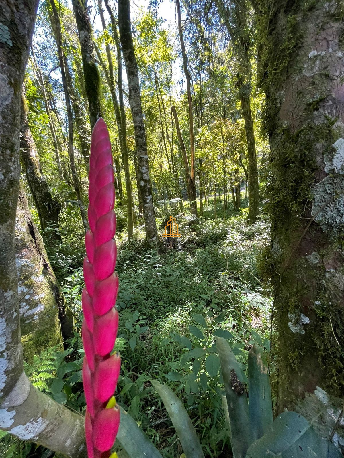 Terreno, 802 m² - Foto 26