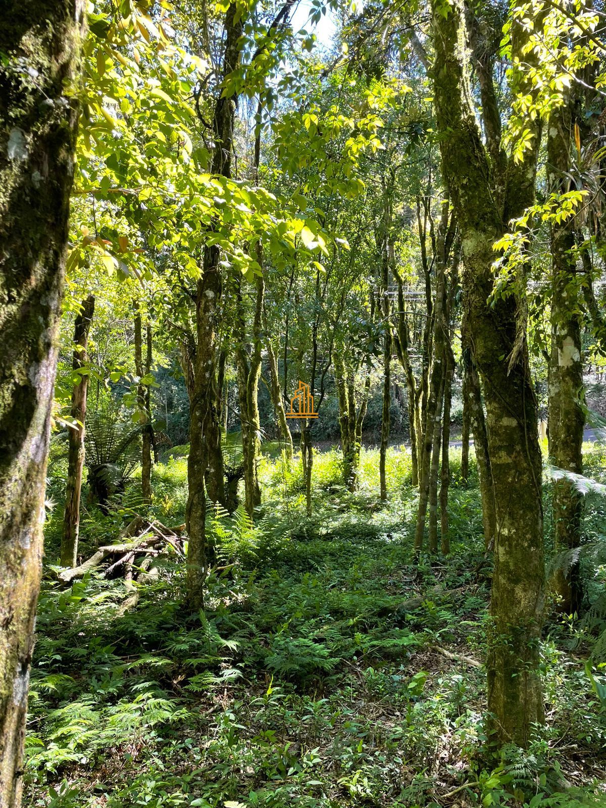 Terreno, 802 m² - Foto 10